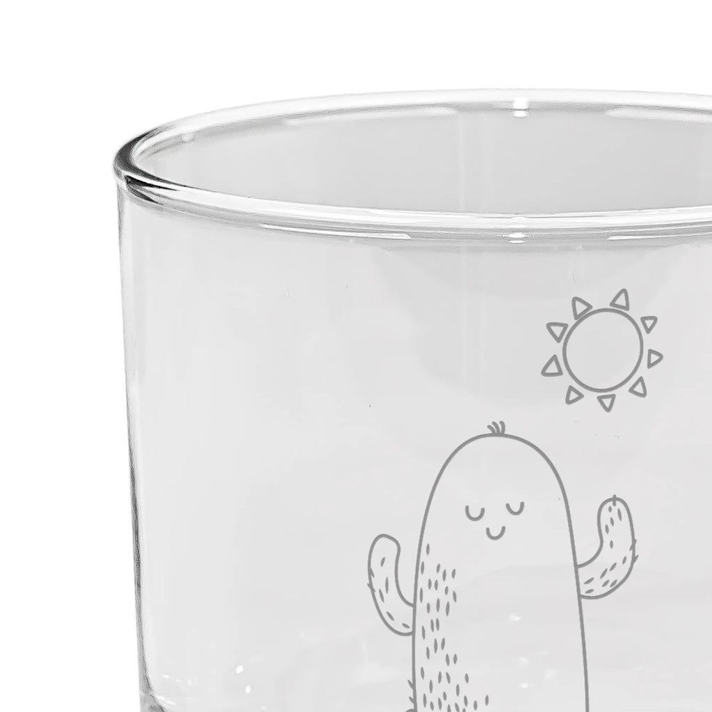 gin glass cactus Sun cactus, cactuses, plants, cactus plant, small green cactus, motivation, girlfriend, divorce, new start, love cactus love, happiness, sun, lovesickness, gift idea, sunshine, separation, lovesickness gift, happy, adultery