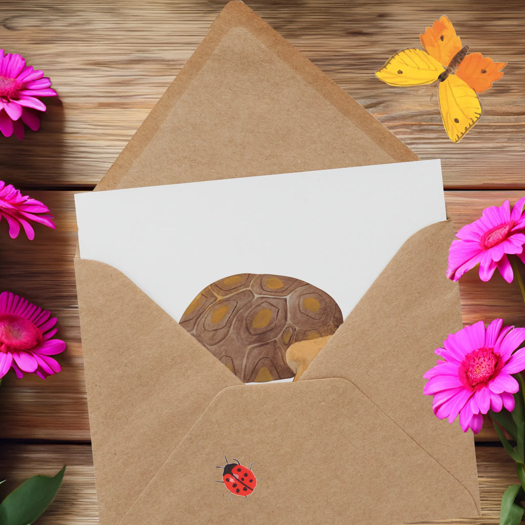 Deluxe Card tortoise March Glückwunschkarte, Karte, Hochwertige Grußkarte, Klappkarte, Geburtstagskarte, Grußkarte, Hochzeitskarte, Hochwertige Klappkarte, Einladungskarte, Meerestiere, Meer, Urlaub, Schildkröte, Lieblingsmensch, get lost, Inspiration, Schildkröten, Reiselust, Neustart, Abenteuer, Motivation