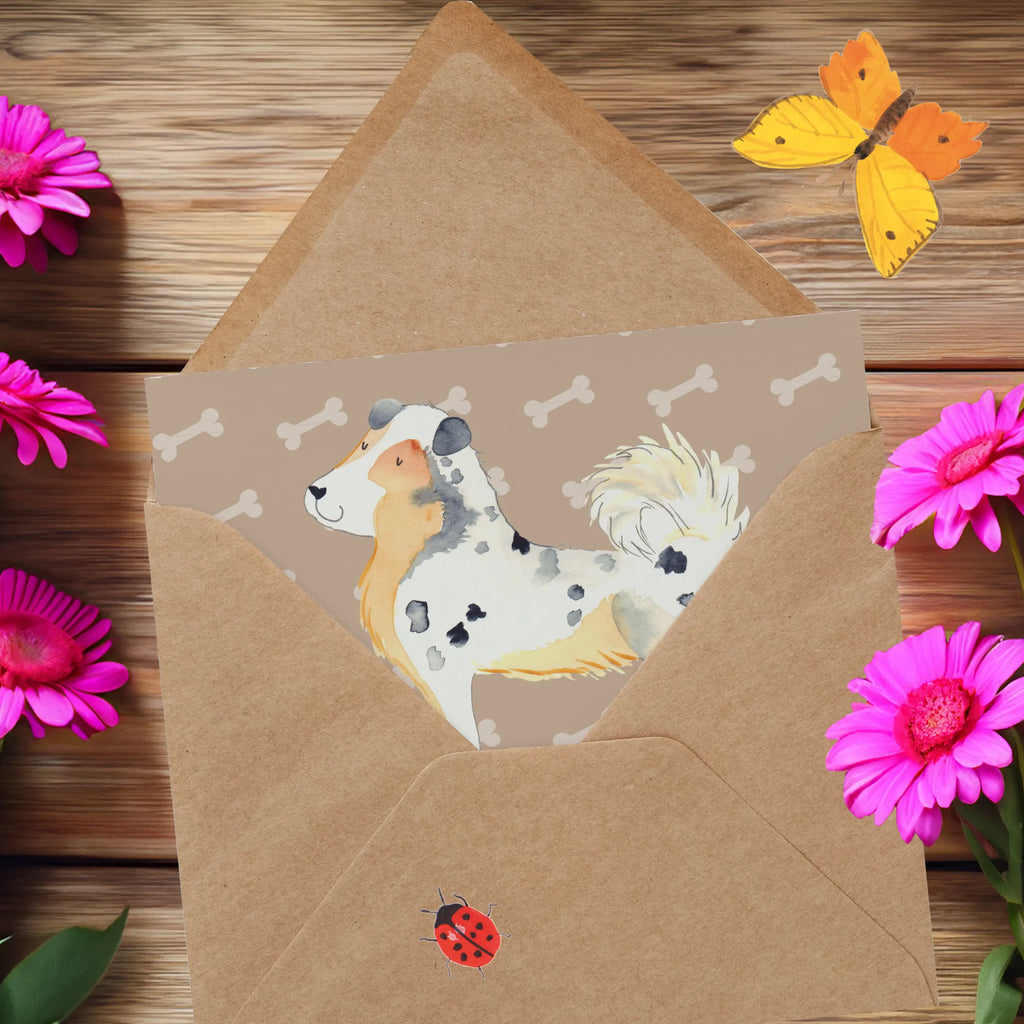 Deluxe Karte Hund Australien Shepherd Geburtstagskarte, Klappkarte, Hochwertige Klappkarte, Grußkarte, Glückwunschkarte, Karte, Einladungskarte, Hochzeitskarte, Hochwertige Grußkarte, Hund, Hundemotiv, Haustier, Hunderasse, Tierliebhaber, Hundebesitzer, Sprüche, Shepherd, Familienhund, Australien Shepherd, Hundeliebe, Spruch