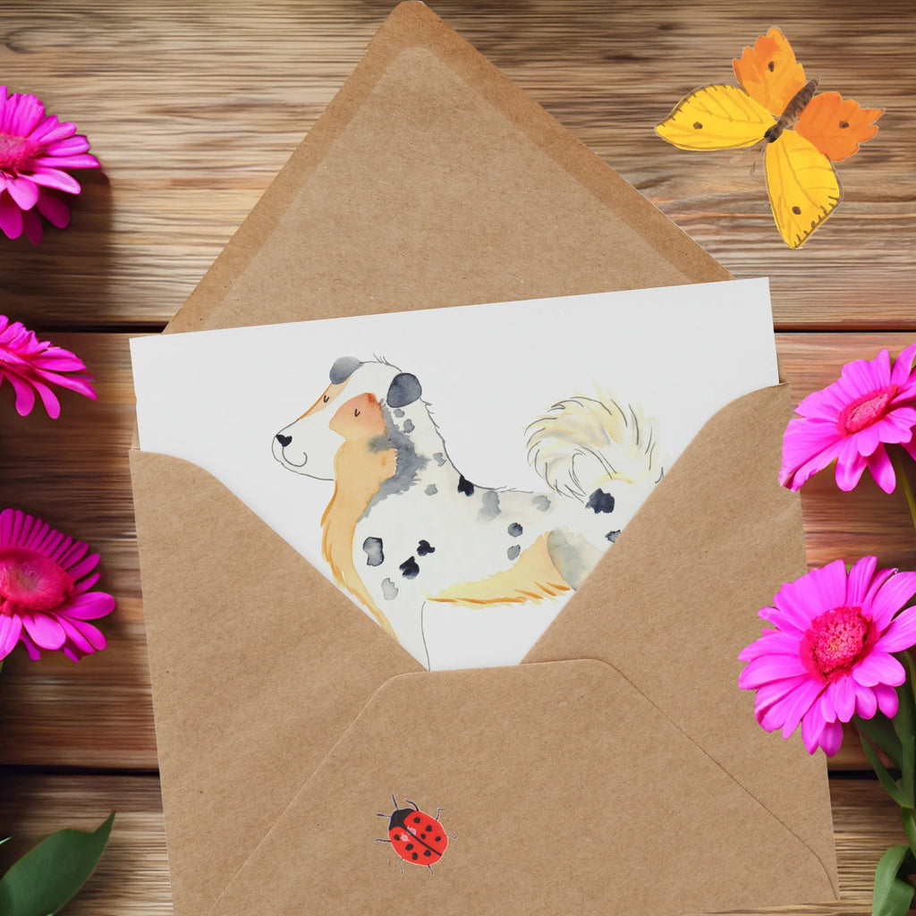 Deluxe Karte Hund Australien Shepherd Geburtstagskarte, Klappkarte, Hochwertige Klappkarte, Grußkarte, Glückwunschkarte, Karte, Einladungskarte, Hochzeitskarte, Hochwertige Grußkarte, Hund, Hundemotiv, Haustier, Hunderasse, Tierliebhaber, Hundebesitzer, Sprüche, Shepherd, Familienhund, Australien Shepherd, Hundeliebe, Spruch