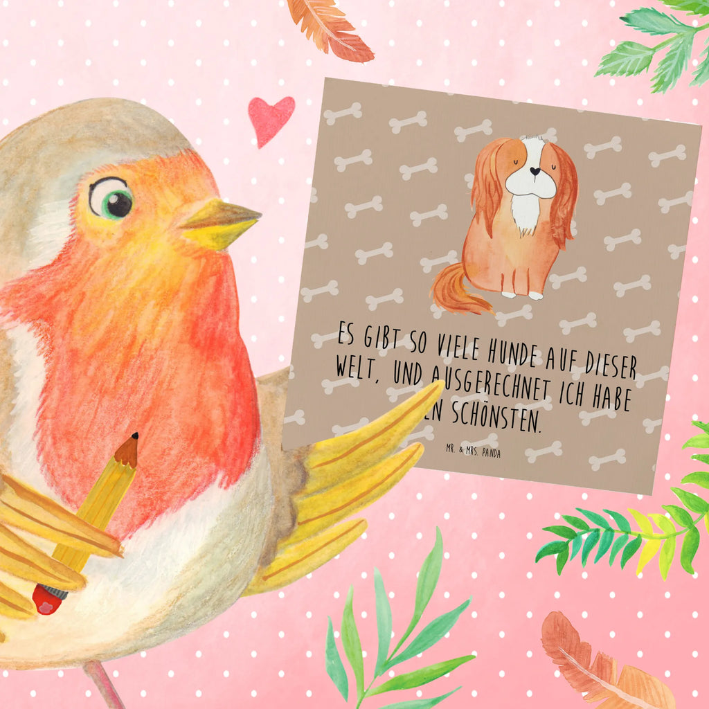 Deluxe Karte Hund Cavalier King Charles Spaniel Hochwertige Grußkarte, Einladungskarte, Karte, Hochwertige Klappkarte, Geburtstagskarte, Glückwunschkarte, Grußkarte, Klappkarte, Hochzeitskarte, Hund, Hundemotiv, Haustier, Hunderasse, Tierliebhaber, Hundebesitzer, Sprüche, Cavalier King Charles Spaniel, schönster Hund, Spaniel, Cockerspaniel, Spruch