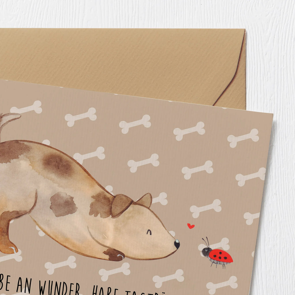 Deluxe Karte Hund Marienkäfer Hochzeitskarte, Hochwertige Klappkarte, Hochwertige Grußkarte, Klappkarte, Einladungskarte, Karte, Geburtstagskarte, Glückwunschkarte, Grußkarte, Hund, Hundemotiv, Haustier, Hunderasse, Tierliebhaber, Hundebesitzer, Sprüche, Marienkäfer, Mischlinghund, Hundespruch, Hunde, Mischling