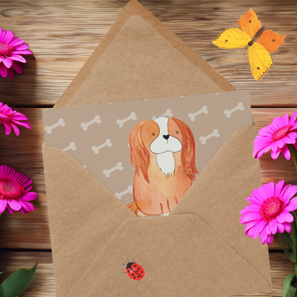 Personalized Deluxe Card Dog Cavalier King Charles Spaniel Grußkarte selbst gestalten, Grußkarte als Geldgeschenk, Grußkarte mit Namen, Personalisierte Glückwunschkarte, Personalisierte Geburtstagskarte, Personalisiertere Klappkarte, Grußkarten personalisiert, Personalisierte Einladungskarte, Grußkarte selber drucken, Personalisierte Grußkarte, Grußkarte mit persönlichen Nachrichten, Personalisierte Karte, Personalisierte Hochzeitskarte, Hund, Hundemotiv, Haustier, Hunderasse, Tierliebhaber, Hundebesitzer, Sprüche, Spaniel, Cavalier King Charles Spaniel, Spruch, schönster Hund, Cockerspaniel