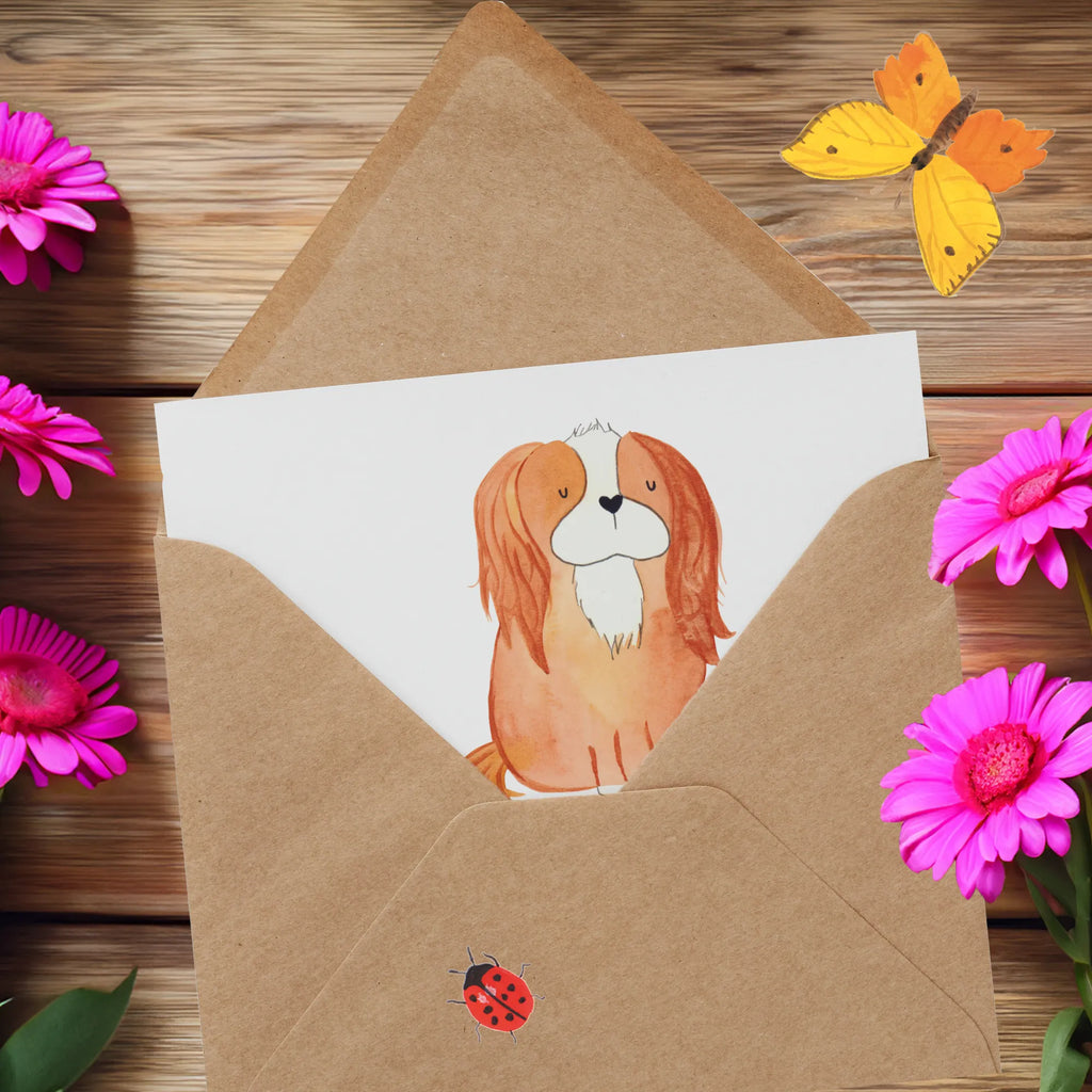 Personalized Deluxe Card Dog Cavalier King Charles Spaniel Grußkarte selbst gestalten, Grußkarte als Geldgeschenk, Grußkarte mit Namen, Personalisierte Glückwunschkarte, Personalisierte Geburtstagskarte, Personalisiertere Klappkarte, Grußkarten personalisiert, Personalisierte Einladungskarte, Grußkarte selber drucken, Personalisierte Grußkarte, Grußkarte mit persönlichen Nachrichten, Personalisierte Karte, Personalisierte Hochzeitskarte, Hund, Hundemotiv, Haustier, Hunderasse, Tierliebhaber, Hundebesitzer, Sprüche, Spaniel, Cavalier King Charles Spaniel, Spruch, schönster Hund, Cockerspaniel