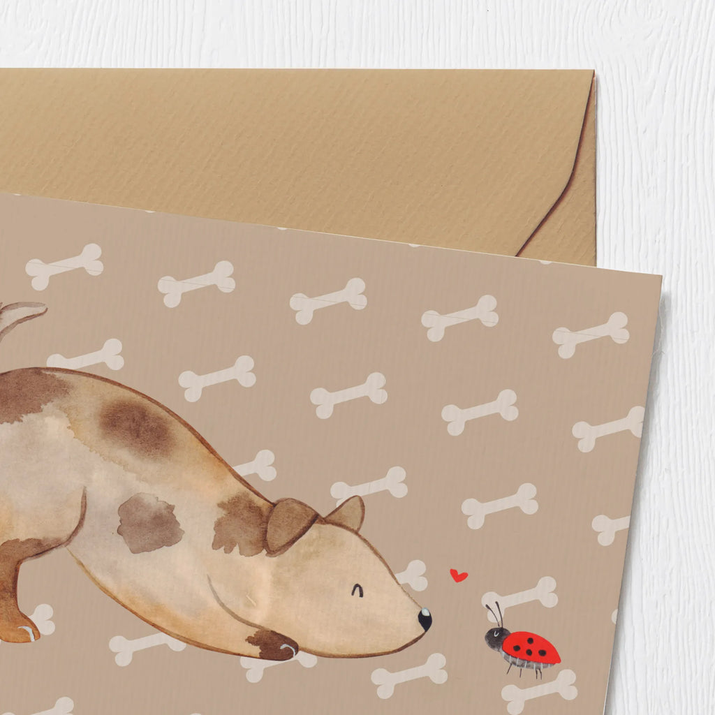 Personalized Deluxe Card Dog ladybug Grußkarte mit persönlichen Nachrichten, Grußkarte selber drucken, Personalisierte Glückwunschkarte, Grußkarte selbst gestalten, Personalisiertere Klappkarte, Grußkarte mit Namen, Personalisierte Geburtstagskarte, Personalisierte Grußkarte, Grußkarte als Geldgeschenk, Personalisierte Hochzeitskarte, Grußkarten personalisiert, Personalisierte Karte, Personalisierte Einladungskarte, Hund, Hundemotiv, Haustier, Hunderasse, Tierliebhaber, Hundebesitzer, Sprüche, Hundespruch, Marienkäfer, Mischling, Mischlinghund, Hunde