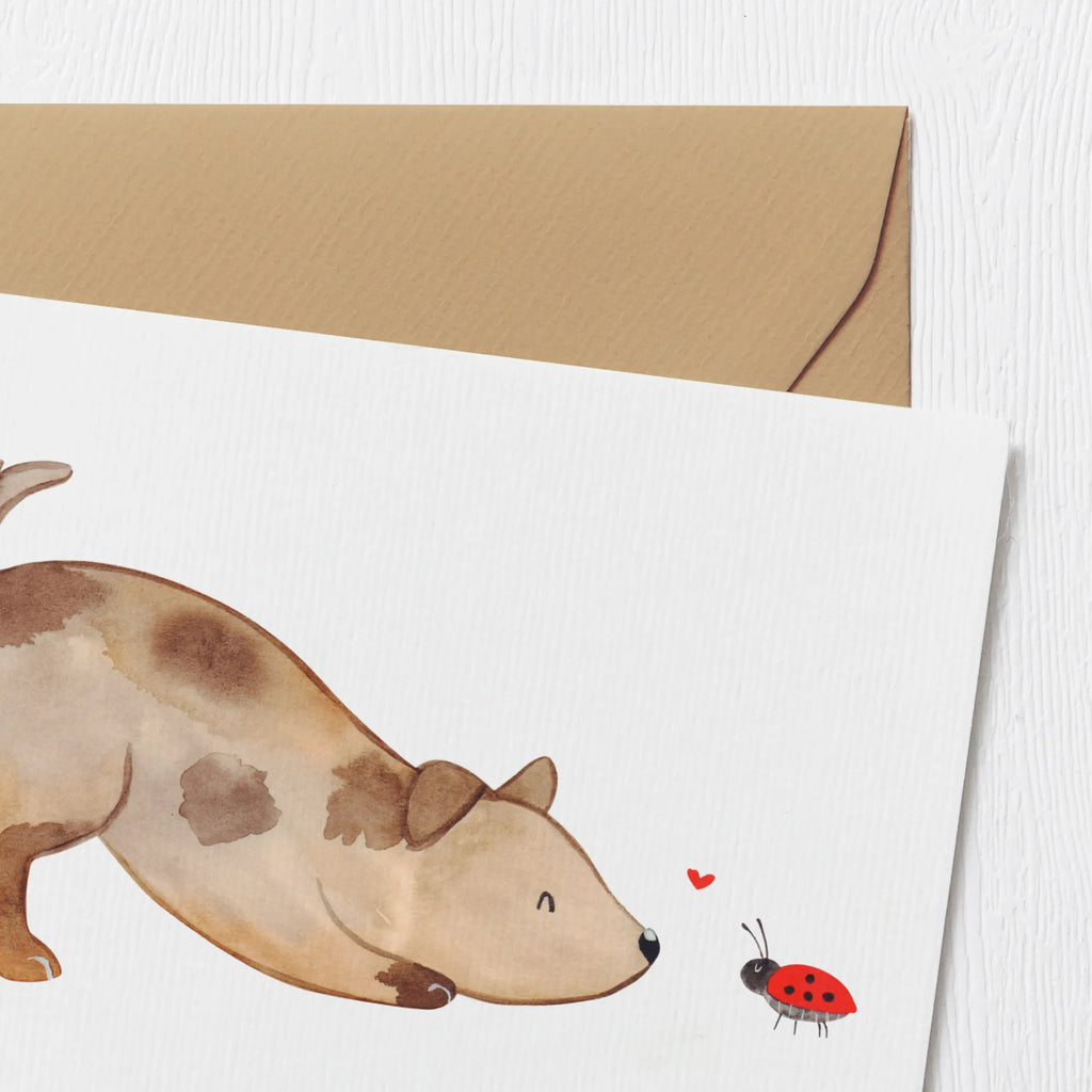 Personalized Deluxe Card Dog ladybug Grußkarte mit persönlichen Nachrichten, Grußkarte selber drucken, Personalisierte Glückwunschkarte, Grußkarte selbst gestalten, Personalisiertere Klappkarte, Grußkarte mit Namen, Personalisierte Geburtstagskarte, Personalisierte Grußkarte, Grußkarte als Geldgeschenk, Personalisierte Hochzeitskarte, Grußkarten personalisiert, Personalisierte Karte, Personalisierte Einladungskarte, Hund, Hundemotiv, Haustier, Hunderasse, Tierliebhaber, Hundebesitzer, Sprüche, Hundespruch, Marienkäfer, Mischling, Mischlinghund, Hunde