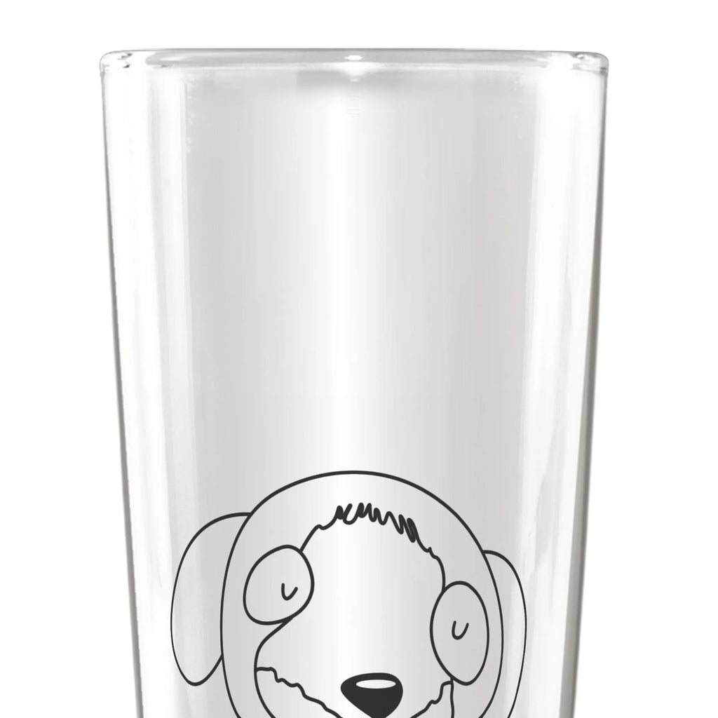 szklanka piwa pies relaks Pies, motyw psa, zwierzę domowe, rasa psa, miłośnik zwierząt, właściciel psa, powiedzenia