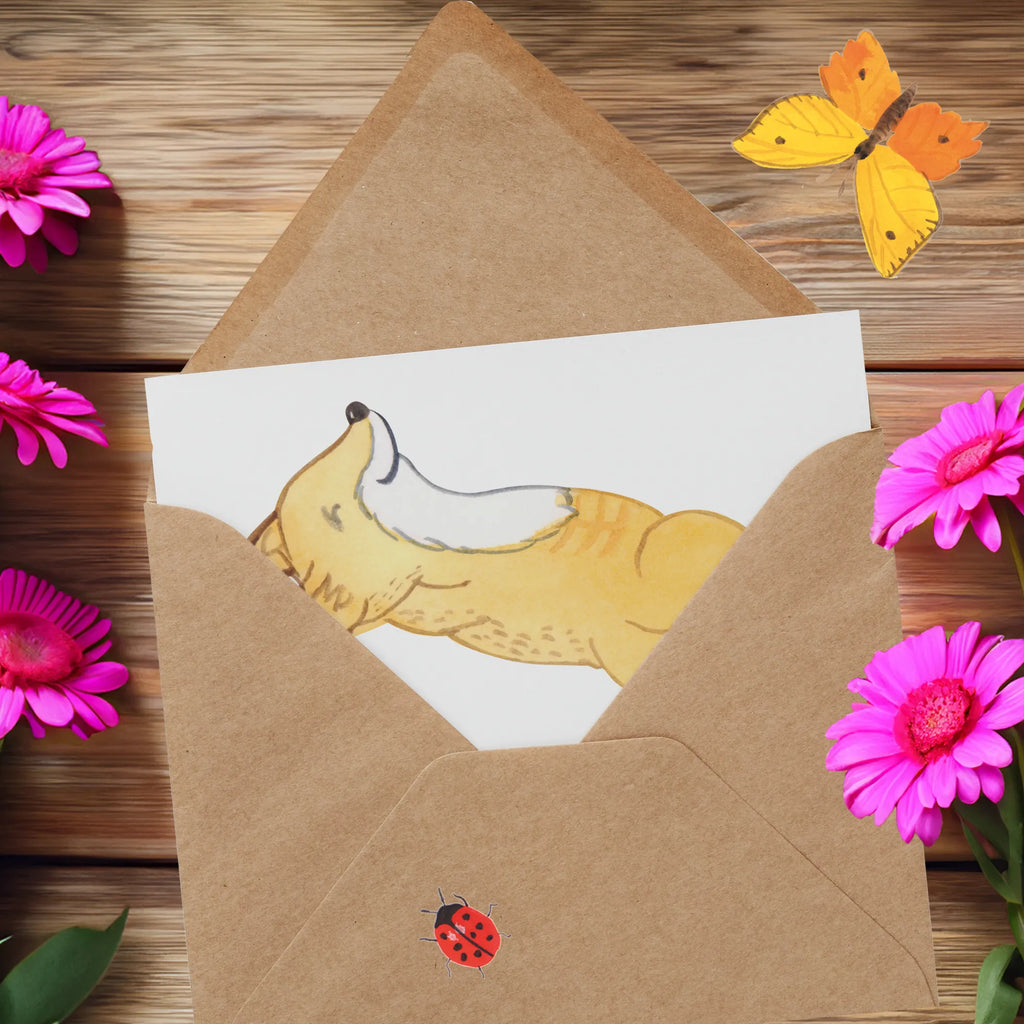 Deluxe Card Fox crunches Grußkarte, Einladungskarte, Hochwertige Klappkarte, Karte, Geburtstagskarte, Hochzeitskarte, Hochwertige Grußkarte, Glückwunschkarte, Klappkarte, Geschenk, Sport, Sportart, Hobby, Schenken, Danke, Dankeschön, Auszeichnung, Gewinn, Sportler, Bauchpressen, Fitnessstudio, Fitness, Crunches