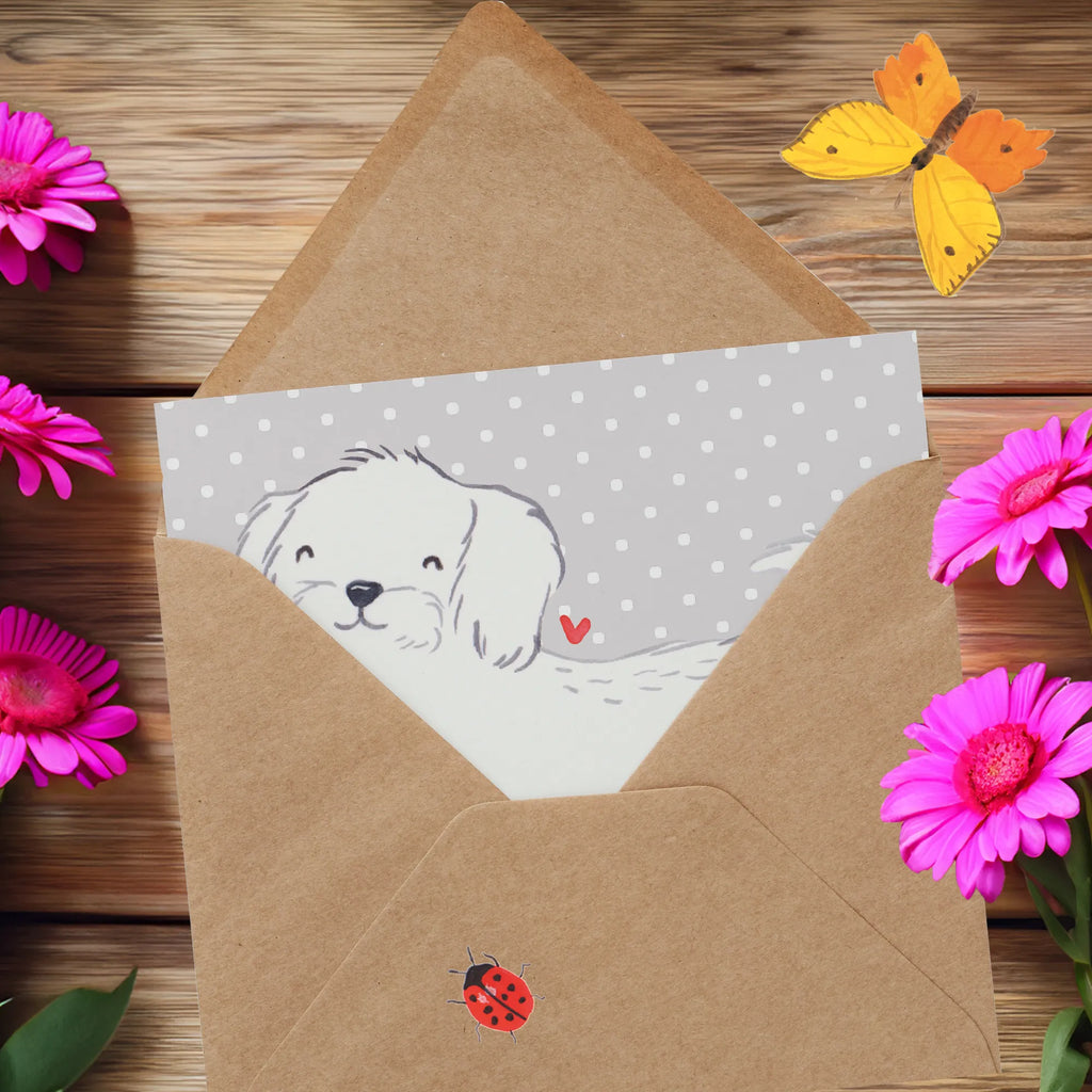 Deluxe Karte Malteser Lebensretter Hochwertige Grußkarte, Karte, Hochzeitskarte, Geburtstagskarte, Klappkarte, Glückwunschkarte, Einladungskarte, Hochwertige Klappkarte, Grußkarte, Hund, Hunderasse, Rassehund, Hundebesitzer, Geschenk, Tierfreund, Schenken, Welpe, Malteser