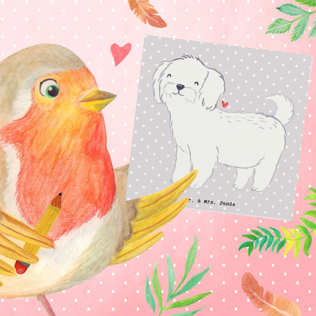 Deluxe Karte Malteser Lebensretter Hochwertige Grußkarte, Karte, Hochzeitskarte, Geburtstagskarte, Klappkarte, Glückwunschkarte, Einladungskarte, Hochwertige Klappkarte, Grußkarte, Hund, Hunderasse, Rassehund, Hundebesitzer, Geschenk, Tierfreund, Schenken, Welpe, Malteser