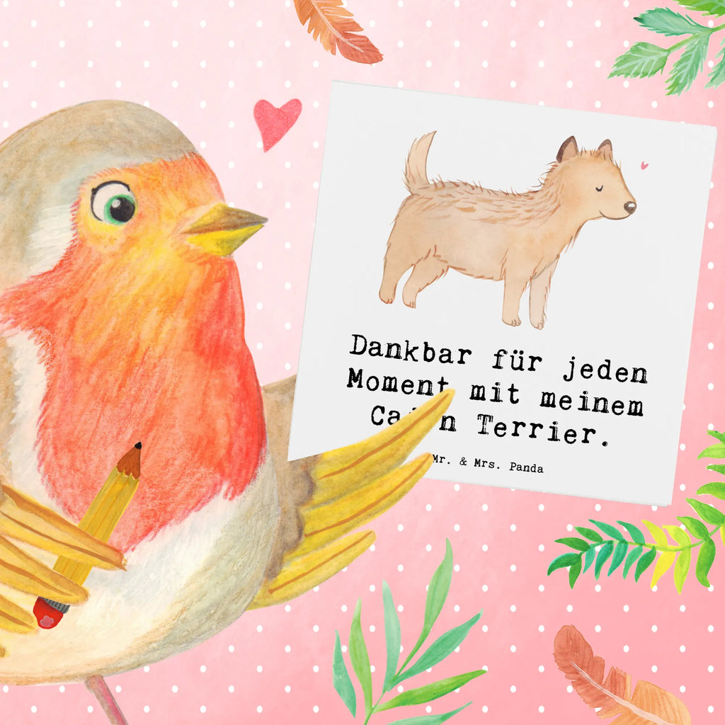 Deluxe Karte Cairn Terrier Moment Geburtstagskarte, Hochzeitskarte, Karte, Klappkarte, Hochwertige Grußkarte, Einladungskarte, Grußkarte, Hochwertige Klappkarte, Glückwunschkarte, Hund, Hunderasse, Rassehund, Hundebesitzer, Geschenk, Tierfreund, Schenken, Welpe, Cairn Terrier