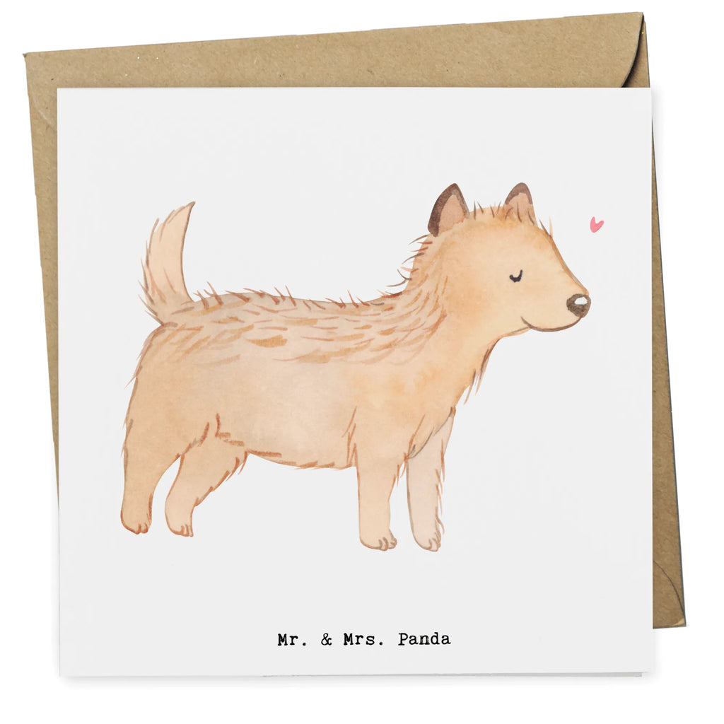 Deluxe Karte Cairn Terrier Moment Geburtstagskarte, Hochzeitskarte, Karte, Klappkarte, Hochwertige Grußkarte, Einladungskarte, Grußkarte, Hochwertige Klappkarte, Glückwunschkarte, Hund, Hunderasse, Rassehund, Hundebesitzer, Geschenk, Tierfreund, Schenken, Welpe, Cairn Terrier