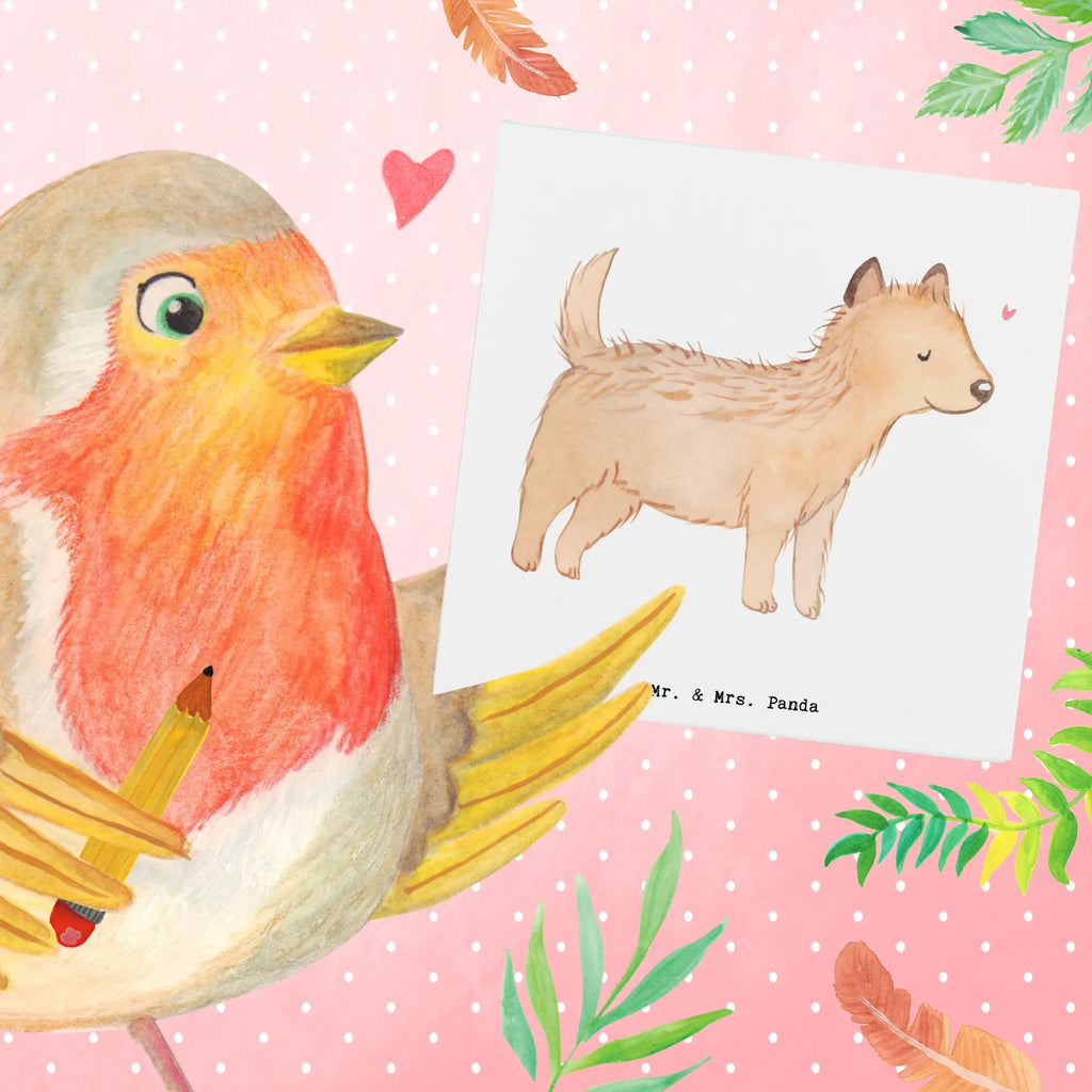 Deluxe Karte Cairn Terrier Moment Geburtstagskarte, Hochzeitskarte, Karte, Klappkarte, Hochwertige Grußkarte, Einladungskarte, Grußkarte, Hochwertige Klappkarte, Glückwunschkarte, Hund, Hunderasse, Rassehund, Hundebesitzer, Geschenk, Tierfreund, Schenken, Welpe, Cairn Terrier