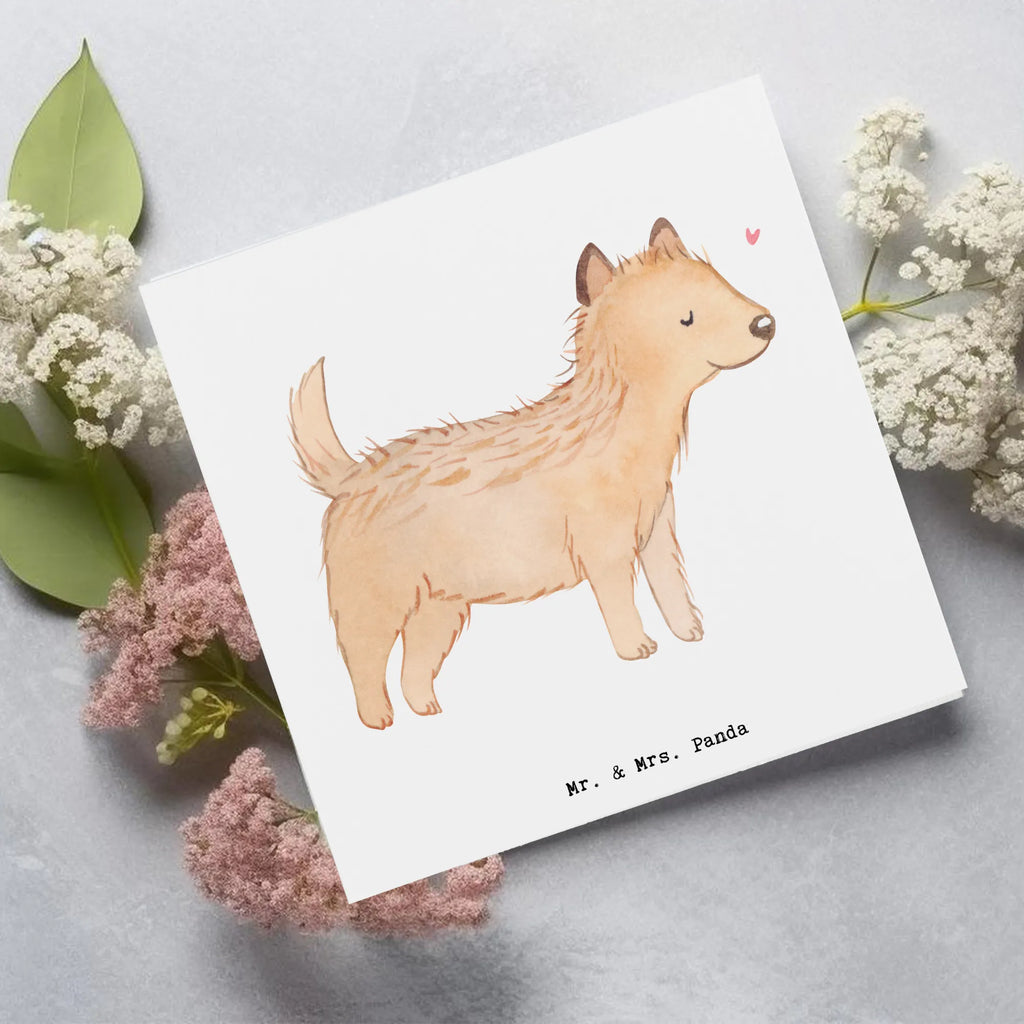 Deluxe Karte Cairn Terrier Moment Geburtstagskarte, Hochzeitskarte, Karte, Klappkarte, Hochwertige Grußkarte, Einladungskarte, Grußkarte, Hochwertige Klappkarte, Glückwunschkarte, Hund, Hunderasse, Rassehund, Hundebesitzer, Geschenk, Tierfreund, Schenken, Welpe, Cairn Terrier