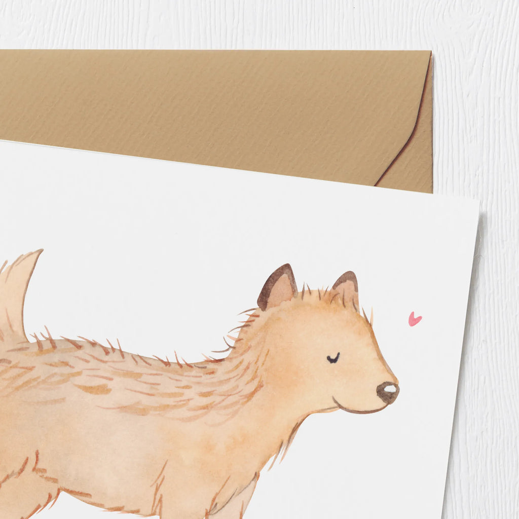 Deluxe Karte Cairn Terrier Moment Geburtstagskarte, Hochzeitskarte, Karte, Klappkarte, Hochwertige Grußkarte, Einladungskarte, Grußkarte, Hochwertige Klappkarte, Glückwunschkarte, Hund, Hunderasse, Rassehund, Hundebesitzer, Geschenk, Tierfreund, Schenken, Welpe, Cairn Terrier