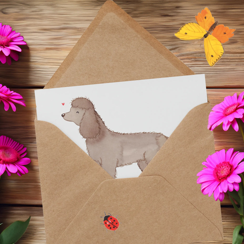 Personalized Deluxe Card Irish Water Spaniel Lifesaver Grußkarte selber drucken, Personalisierte Hochzeitskarte, Personalisierte Karte, Grußkarte selbst gestalten, Grußkarte mit Namen, Grußkarte mit persönlichen Nachrichten, Personalisiertere Klappkarte, Personalisierte Grußkarte, Personalisierte Glückwunschkarte, Personalisierte Geburtstagskarte, Grußkarte als Geldgeschenk, Personalisierte Einladungskarte, Grußkarten personalisiert, Hund, Hunderasse, Rassehund, Hundebesitzer, Geschenk, Tierfreund, Schenken, Welpe, Irish Water Spaniel, Jagdhund