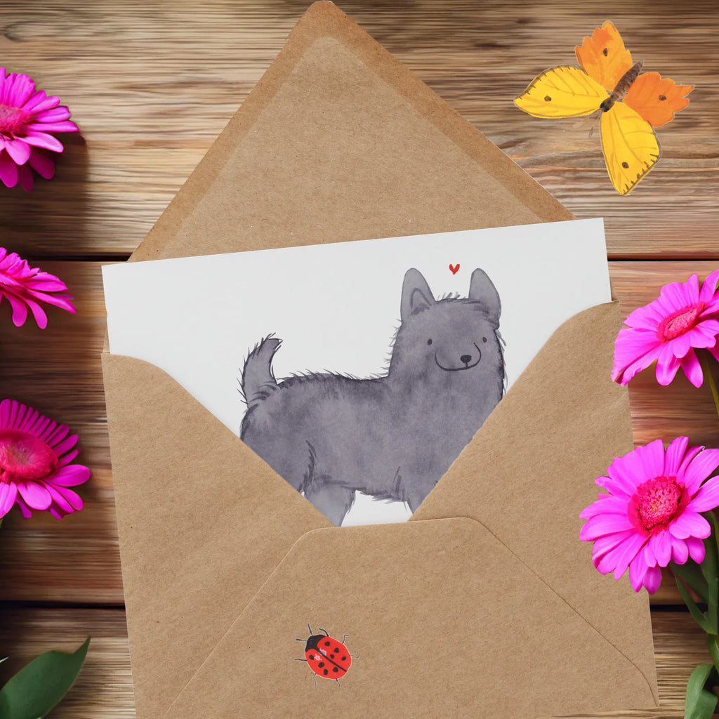 Personalized Deluxe Card Schipperke Lifesaver Grußkarten personalisiert, Grußkarte als Geldgeschenk, Personalisierte Geburtstagskarte, Grußkarte selbst gestalten, Personalisierte Karte, Grußkarte mit Namen, Personalisierte Einladungskarte, Personalisiertere Klappkarte, Personalisierte Hochzeitskarte, Personalisierte Grußkarte, Grußkarte mit persönlichen Nachrichten, Personalisierte Glückwunschkarte, Grußkarte selber drucken, Hund, Hunderasse, Rassehund, Hundebesitzer, Geschenk, Tierfreund, Schenken, Welpe, Schipperke, belgische Hunderasse