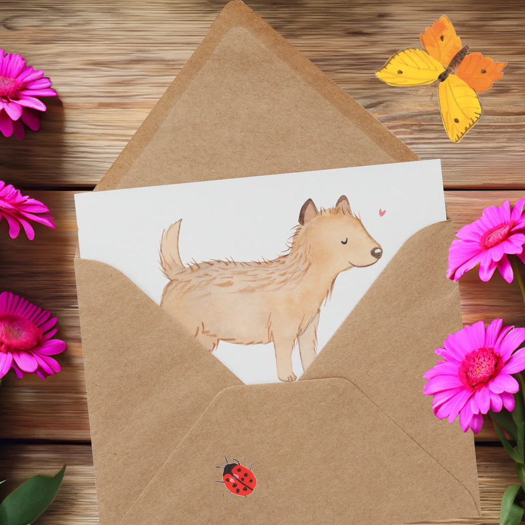 Personalisierte Deluxe Karte Cairn Terrier Lebensretter Grußkarte mit Namen, Grußkarte selber drucken, Grußkarte als Geldgeschenk, Personalisierte Karte, Grußkarte selbst gestalten, Personalisierte Hochzeitskarte, Personalisierte Grußkarte, Personalisierte Einladungskarte, Personalisierte Geburtstagskarte, Personalisierte Glückwunschkarte, Personalisiertere Klappkarte, Grußkarten personalisiert, Grußkarte mit persönlichen Nachrichten, Hund, Hunderasse, Rassehund, Hundebesitzer, Geschenk, Tierfreund, Schenken, Welpe, Cairn Terrier