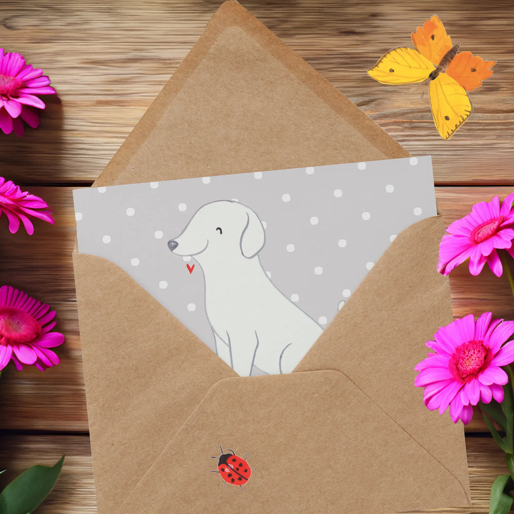 Personalized Deluxe Card Labrador Life Saver Personalisierte Grußkarte, Personalisierte Geburtstagskarte, Grußkarte mit Namen, Personalisierte Glückwunschkarte, Personalisierte Hochzeitskarte, Grußkarte selber drucken, Personalisierte Karte, Grußkarte als Geldgeschenk, Grußkarte mit persönlichen Nachrichten, Personalisiertere Klappkarte, Grußkarte selbst gestalten, Grußkarten personalisiert, Personalisierte Einladungskarte, Hund, Hunderasse, Rassehund, Hundebesitzer, Geschenk, Tierfreund, Schenken, Welpe, Labrador