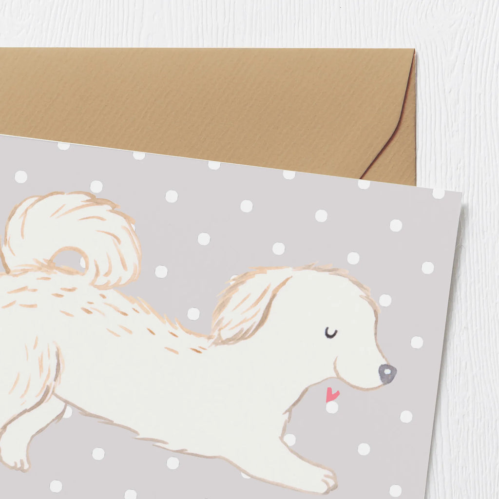 Personalized Deluxe Card Maltipoo Lifesaver Personalisierte Glückwunschkarte, Grußkarte mit persönlichen Nachrichten, Personalisierte Hochzeitskarte, Grußkarte als Geldgeschenk, Grußkarte selbst gestalten, Grußkarten personalisiert, Personalisiertere Klappkarte, Grußkarte selber drucken, Personalisierte Grußkarte, Personalisierte Geburtstagskarte, Personalisierte Karte, Grußkarte mit Namen, Personalisierte Einladungskarte, Hund, Hunderasse, Rassehund, Hundebesitzer, Geschenk, Tierfreund, Schenken, Welpe, Mischling, Kreuzung, Maltipoo