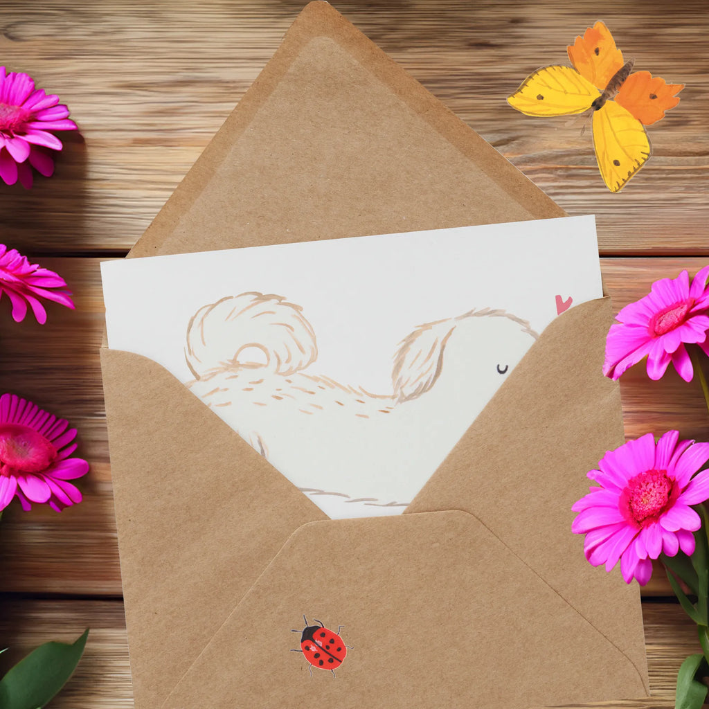 Personalized Deluxe Card Maltipoo Lifesaver Personalisierte Glückwunschkarte, Grußkarte mit persönlichen Nachrichten, Personalisierte Hochzeitskarte, Grußkarte als Geldgeschenk, Grußkarte selbst gestalten, Grußkarten personalisiert, Personalisiertere Klappkarte, Grußkarte selber drucken, Personalisierte Grußkarte, Personalisierte Geburtstagskarte, Personalisierte Karte, Grußkarte mit Namen, Personalisierte Einladungskarte, Hund, Hunderasse, Rassehund, Hundebesitzer, Geschenk, Tierfreund, Schenken, Welpe, Mischling, Kreuzung, Maltipoo