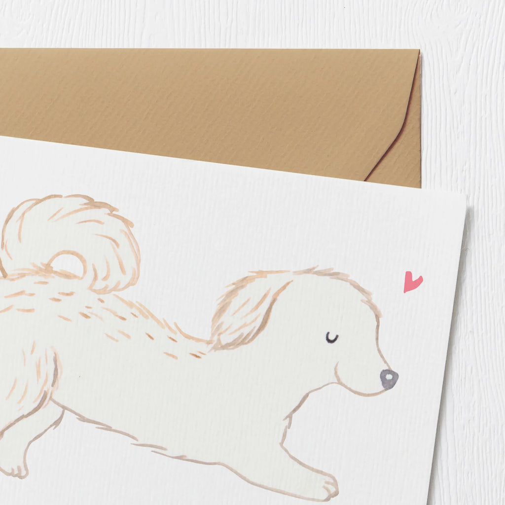 Personalized Deluxe Card Maltipoo Lifesaver Personalisierte Glückwunschkarte, Grußkarte mit persönlichen Nachrichten, Personalisierte Hochzeitskarte, Grußkarte als Geldgeschenk, Grußkarte selbst gestalten, Grußkarten personalisiert, Personalisiertere Klappkarte, Grußkarte selber drucken, Personalisierte Grußkarte, Personalisierte Geburtstagskarte, Personalisierte Karte, Grußkarte mit Namen, Personalisierte Einladungskarte, Hund, Hunderasse, Rassehund, Hundebesitzer, Geschenk, Tierfreund, Schenken, Welpe, Mischling, Kreuzung, Maltipoo