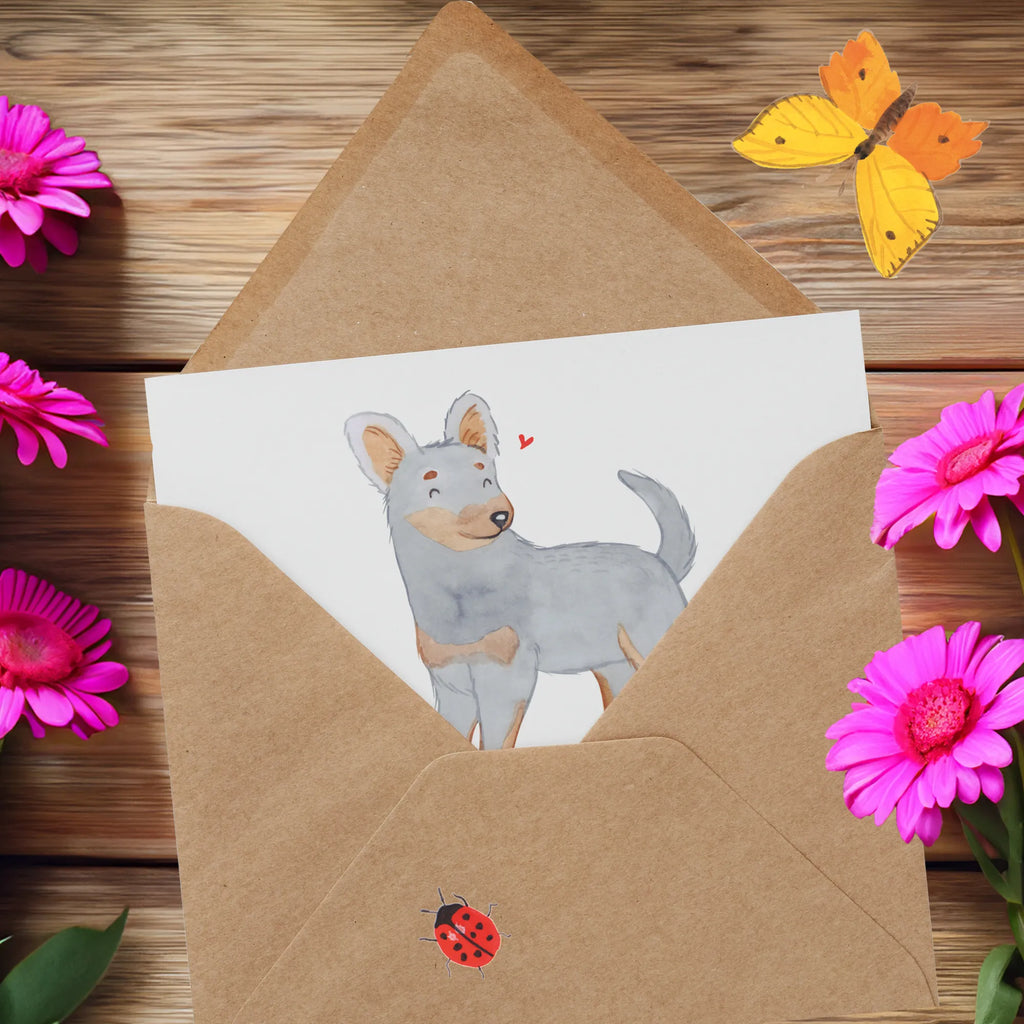 Personalized Deluxe Card Prague Ratter Lifesaver Grußkarte als Geldgeschenk, Personalisierte Grußkarte, Personalisierte Glückwunschkarte, Grußkarte selbst gestalten, Grußkarte mit persönlichen Nachrichten, Personalisiertere Klappkarte, Grußkarte selber drucken, Grußkarten personalisiert, Personalisierte Hochzeitskarte, Grußkarte mit Namen, Personalisierte Einladungskarte, Personalisierte Karte, Personalisierte Geburtstagskarte, Hund, Hunderasse, Rassehund, Hundebesitzer, Geschenk, Tierfreund, Schenken, Welpe, Prager Rattler, Pincher