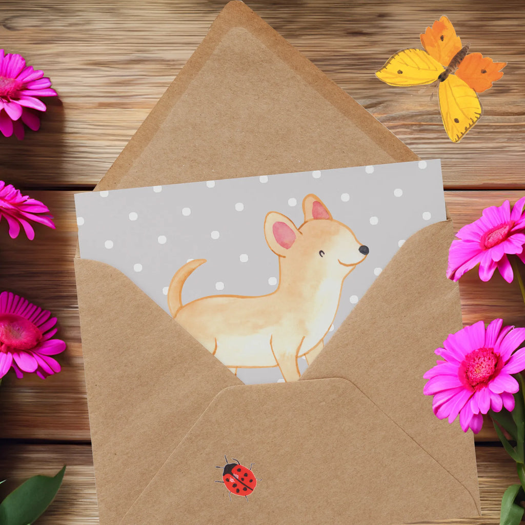 Personalized Deluxe Card Chihuahua Lifesaver Grußkarte als Geldgeschenk, Grußkarte mit persönlichen Nachrichten, Personalisierte Einladungskarte, Personalisierte Geburtstagskarte, Personalisierte Grußkarte, Personalisiertere Klappkarte, Grußkarte selbst gestalten, Grußkarte selber drucken, Personalisierte Hochzeitskarte, Personalisierte Glückwunschkarte, Grußkarte mit Namen, Grußkarten personalisiert, Personalisierte Karte, Hund, Hunderasse, Rassehund, Hundebesitzer, Geschenk, Tierfreund, Schenken, Welpe, Chihuahua