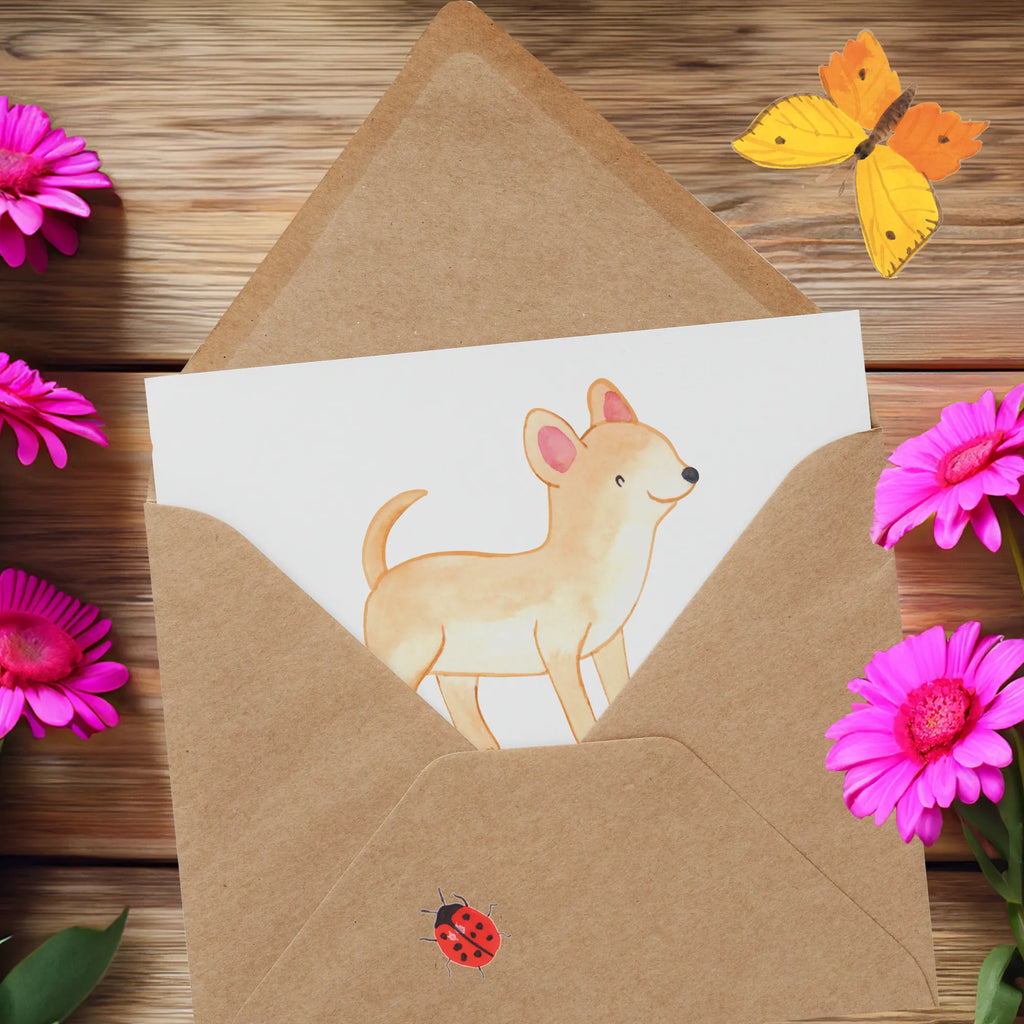 Personalized Deluxe Card Chihuahua Lifesaver Grußkarte als Geldgeschenk, Grußkarte mit persönlichen Nachrichten, Personalisierte Einladungskarte, Personalisierte Geburtstagskarte, Personalisierte Grußkarte, Personalisiertere Klappkarte, Grußkarte selbst gestalten, Grußkarte selber drucken, Personalisierte Hochzeitskarte, Personalisierte Glückwunschkarte, Grußkarte mit Namen, Grußkarten personalisiert, Personalisierte Karte, Hund, Hunderasse, Rassehund, Hundebesitzer, Geschenk, Tierfreund, Schenken, Welpe, Chihuahua