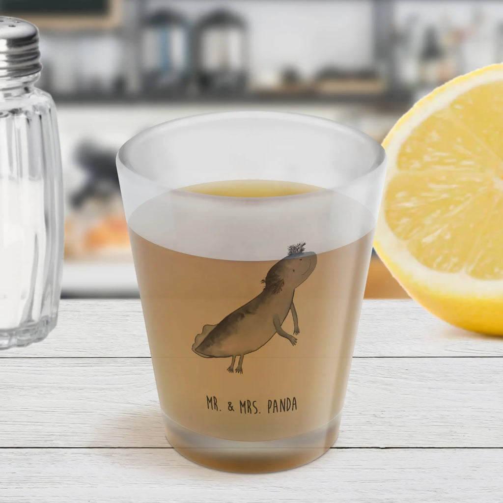 Schnapsglas Axolotl Schwimmen Shot Glas, Shotgläser, Schnapsgläser, Schnapsglas, Shotglas, Likörgläser, Likör Glas, Stamperl, Kurze Gläser, Likör Gläser, Lustige Schnapsgläser, Likörglas, Kurzen Glas, Ausgefallene Schnapsgläser, Axolotl, Molch, Axolot, Schwanzlurch, Lösungen, Lurch, Problem, Probleme, Lurche, Motivation