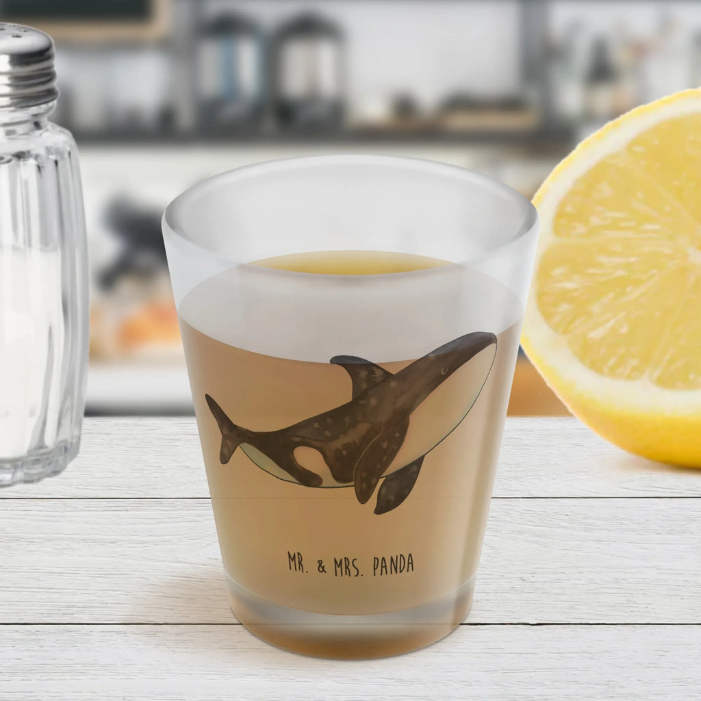 Schnapsglas Orca, Arbeit, Meer, Wal, Büro, Motivation, Neustart