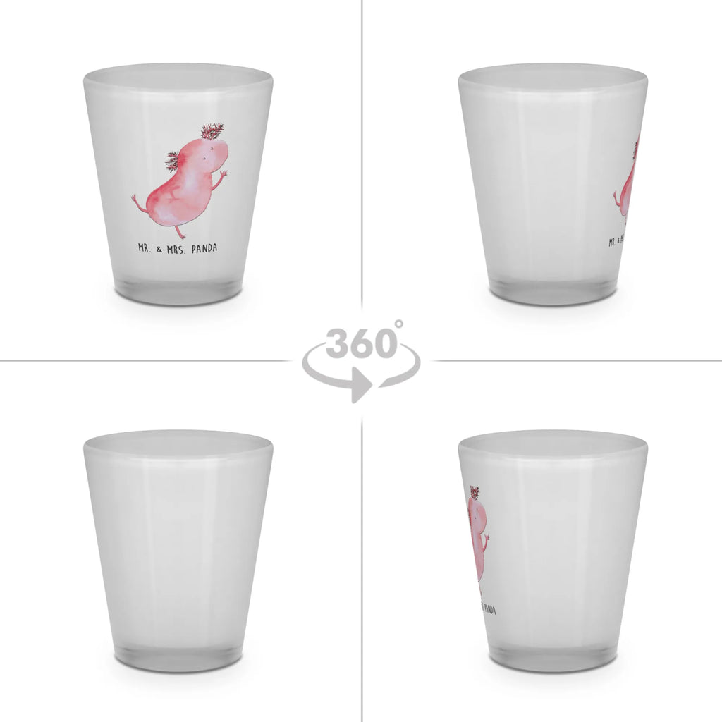 Shot glass axolotl Dance Axolotl, Axelotl, marine animals, Mexican walking fish, salamander, axolot, crazy, best friend, stars, girlfriend, amphibians, roof damage, tailfish