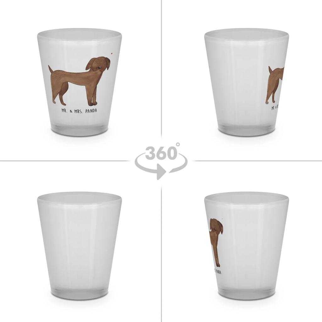 Schnapsglas Hund Dogge Stamperl, Likörglas, Lustige Schnapsgläser, Likörgläser, Likör Glas, Likör Gläser, Shotglas, Ausgefallene Schnapsgläser, Shot Glas, Kurze Gläser, Kurzen Glas, Shotgläser, Schnapsglas, Schnapsgläser, Hund, Hundemotiv, Haustier, Hunderasse, Tierliebhaber, Hundebesitzer, Sprüche, Dogge, Deutsche Dogge, Hunde, Great Dane
