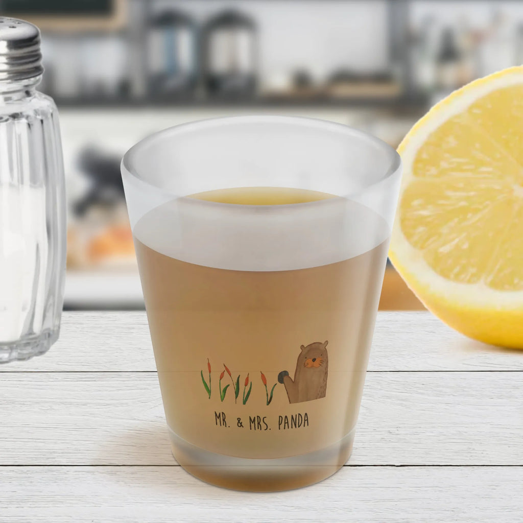 Shot glass otter Stone Shotgläser, Likörgläser, Kurzen Glas, Schnapsglas, Stamperl, Likör Gläser, Lustige Schnapsgläser, Likör Glas, Ausgefallene Schnapsgläser, Schnapsgläser, Shot Glas, Shotglas, Kurze Gläser, Likörglas, Otter, Fischotter, Seeotter, Otter Seeotter See Otter