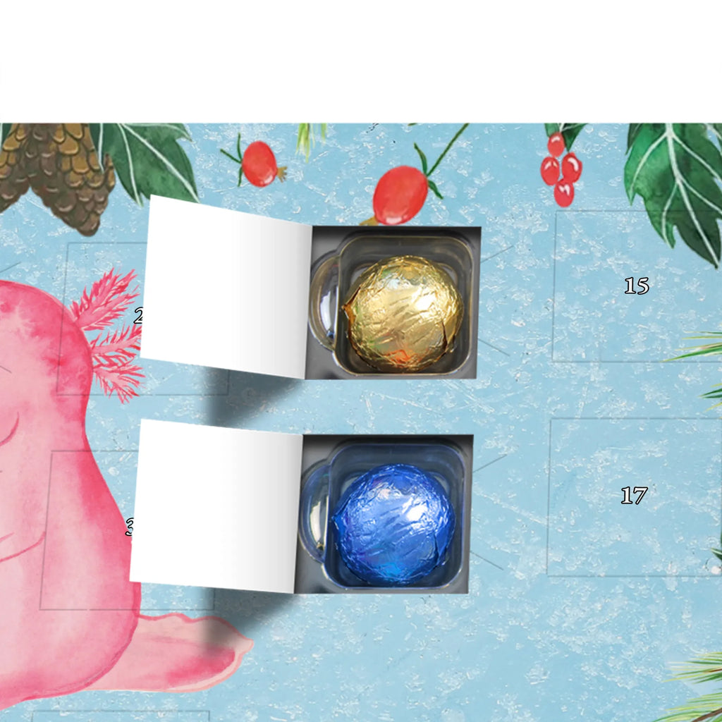 Chocolate advent calendar axolotl zero Mexican walking fish, Axelotl, marine animals, salamander, lifestyle, girlfriend, cheerful, contented, worldly wisdom, wisdom