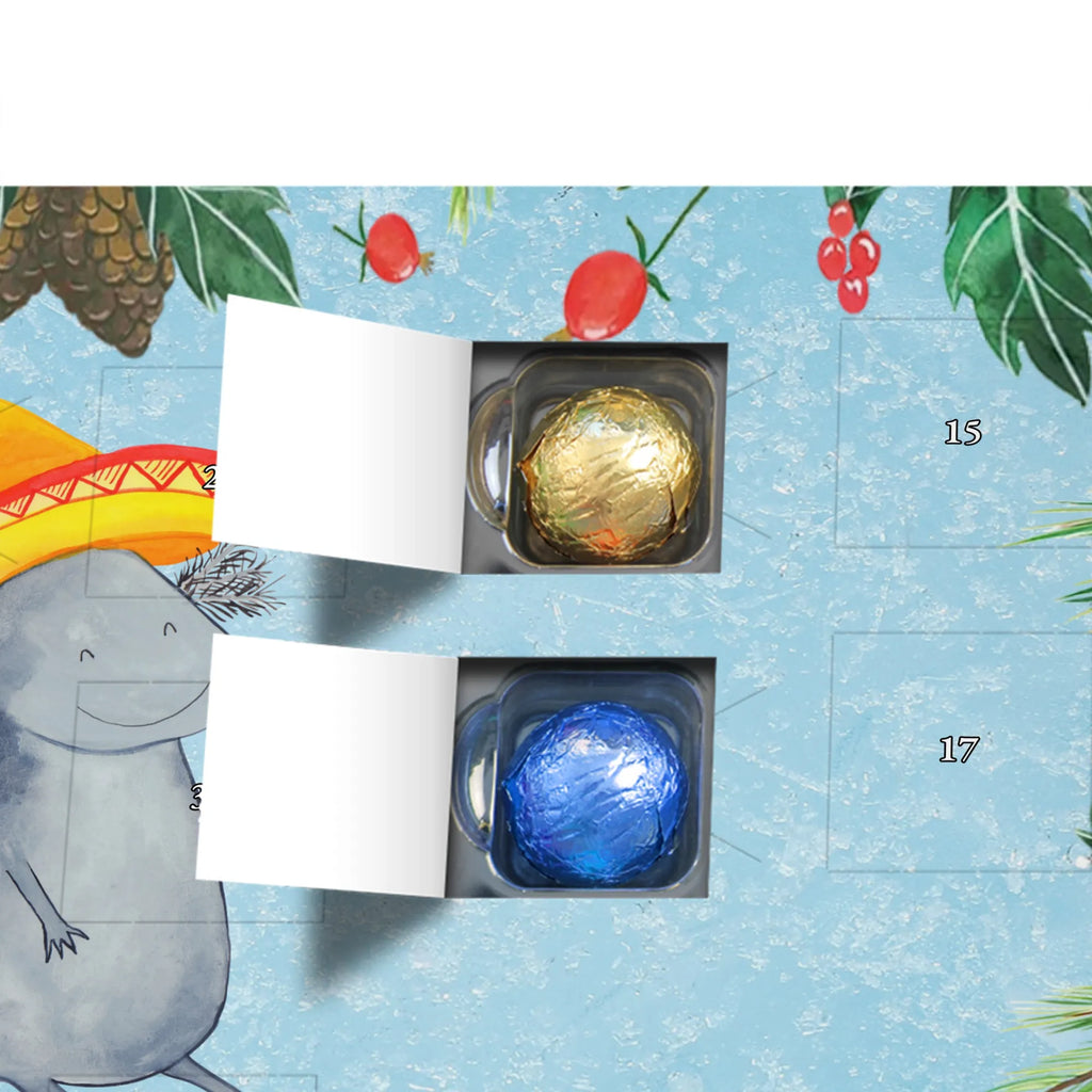 Chocolate advent calendar axolotl tequila Mexican walking fish, Axelotl, marine animals, salamander, Fire Salamander, Fire Dragon, Lemon, Amphibian, Tail Lurch, Saying