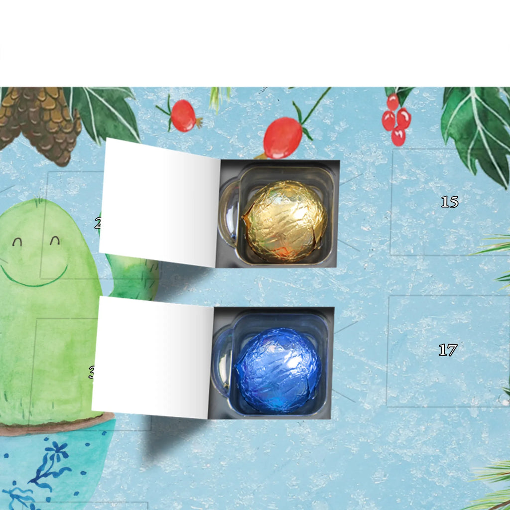 Chocolate advent calendar cactus happy cactus, cactuses, plants, small green cactus, cactus plant, cacti, child protection, colleague, friend, office life, new start, saying, education, mother