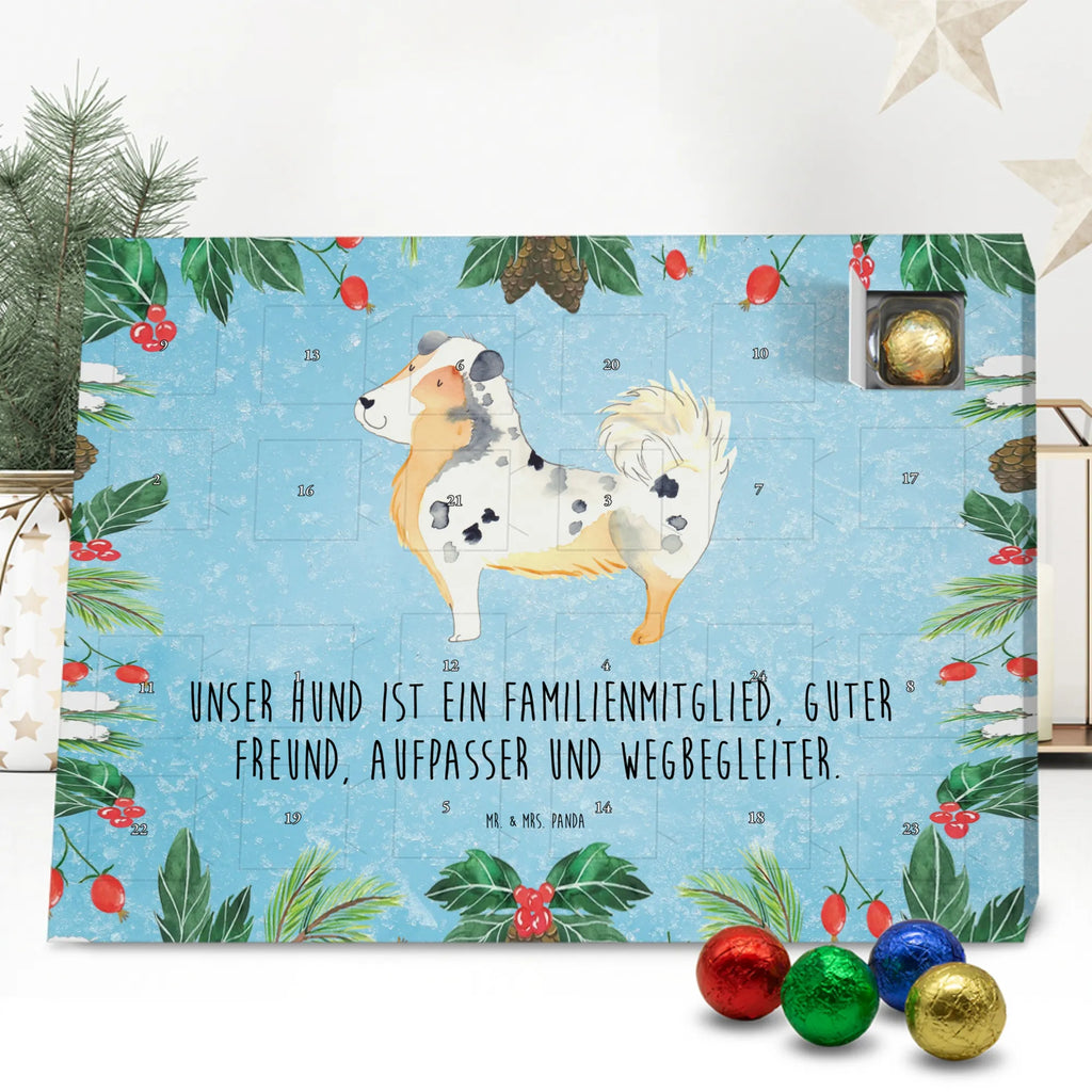 Chocolate advent calendar Dog Australia Shepherd mutt, dog sayings, love dogs, dog mama, funny gifts for dog owners, woof, what do you give a dog lover, dog breed, Christmas gifts for dogs, gifts for dogs, bag with dog print, love for dogs, hound, dog decorative items, Dog love, Australia Shepherd, Family dog, Saying, Sayings