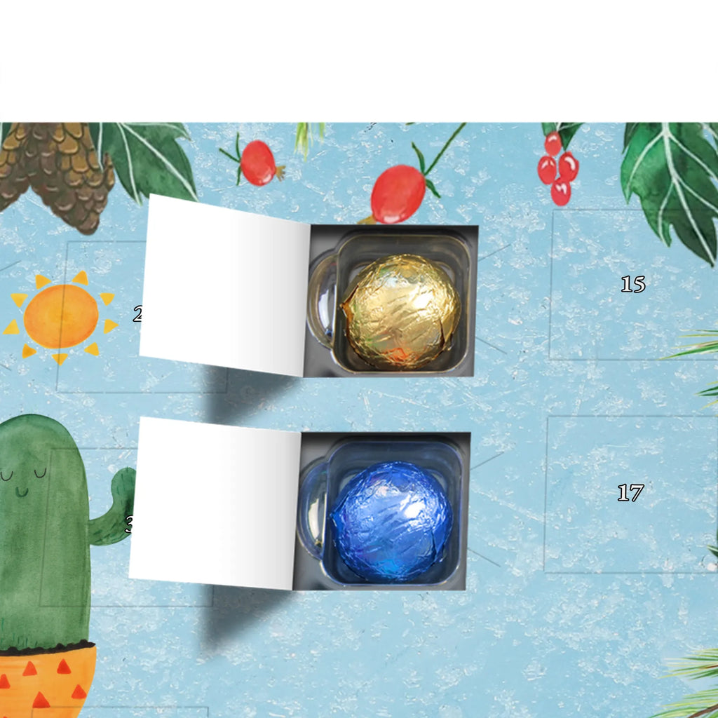  Kaktus Słońce Kaktusy