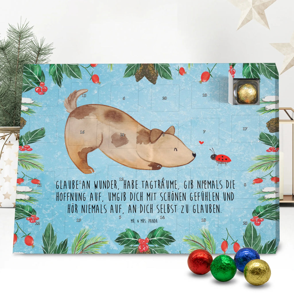 pralinen adventskalender Hund Marienkäfer kalender weihnachten, schokolade adventskalender, Schokoladen-Weihnachtskalender, Weihnachtskalender Schokolade, Schokoladen Adventskalender, Schoko Adventskalender, Adventskalender, adventskalender süßigkeiten, süßigkeiten kalender, schokokalender, adventskalender schoko, schokoladen kalender, weihnachtskalender schoko, Weihnachtskalender, Weihnachten Adventskalender, schokoladenkalender, Weihnachts Kalender, Schoko-Adventskalender, pralinen adventskalender, Adventskalender Schokolade, kalender schokolade, süßigkeiten adventskalender, schoko kalender, Schokoladen-Adventskalender, schoko weihnachtskalender, adventskalender pralinen, Tierliebhaber, Haustier, Hundebesitzer, Sprüche, Hund, Hunderasse, Hundemotiv, Marienkäfer, Mischling, Hunde, Hundespruch, Mischlinghund