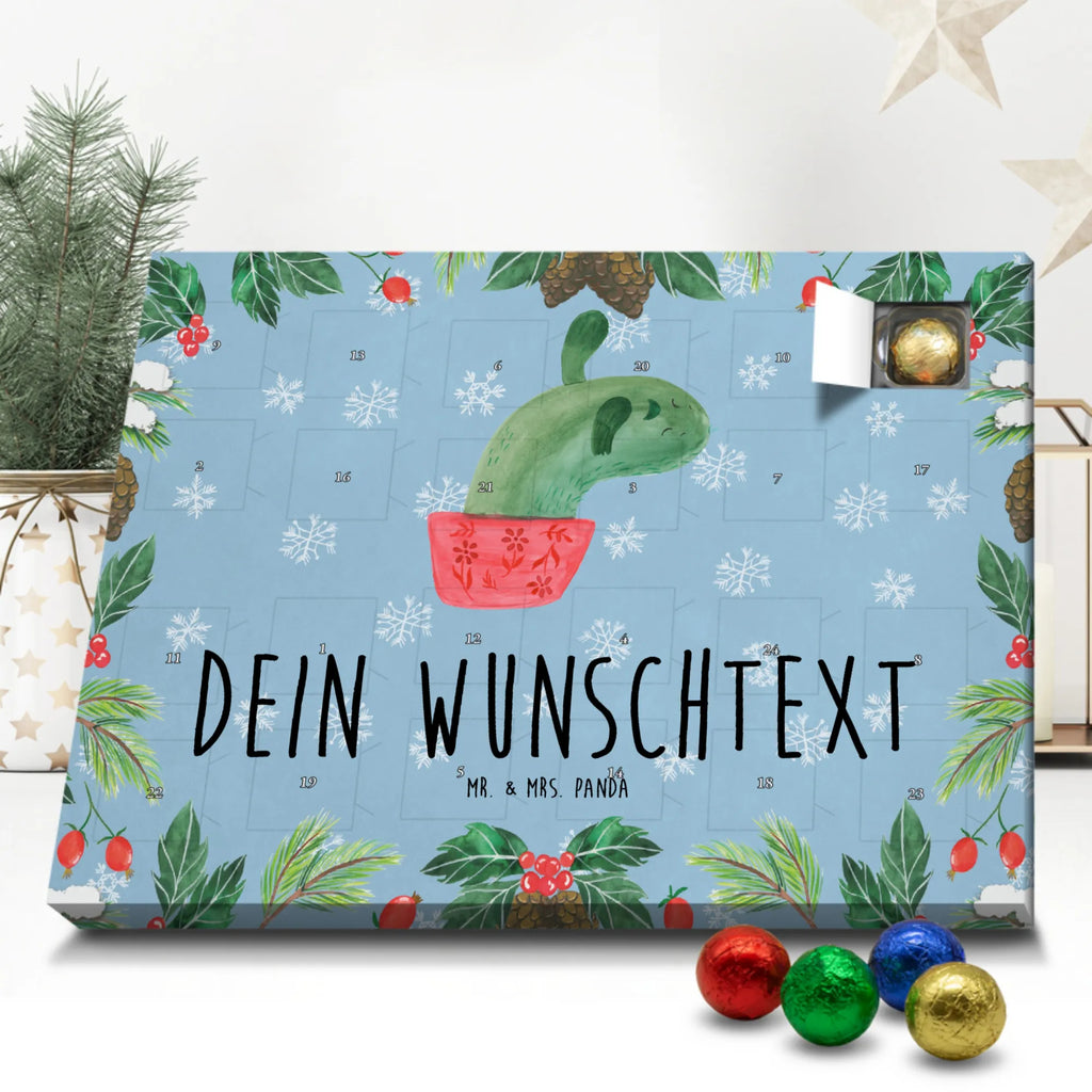  cactus mummy plants, cactus plant, small green cactus, cactuses, cactus, cacti, quota, school, annoyance, office life, cactus love