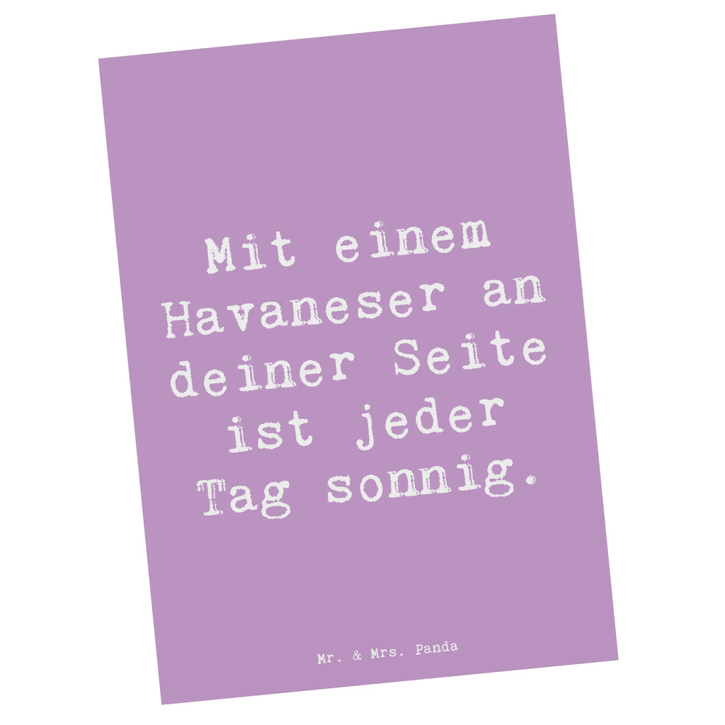 Postkarte Spruch Havaneser Sonnenschein Grußkarte, Dankeskarte, Ansichtskarten, Ansichtskarte, Einladung, Postkarte, Geschenkkarte, Einladung Geburtstag, Karte, Einladungskarten Geburtstag, Geburtstagskarte, Einladungskarte, Hund, Hunderasse, Rassehund, Hundebesitzer, Geschenk, Tierfreund, Schenken, Welpe