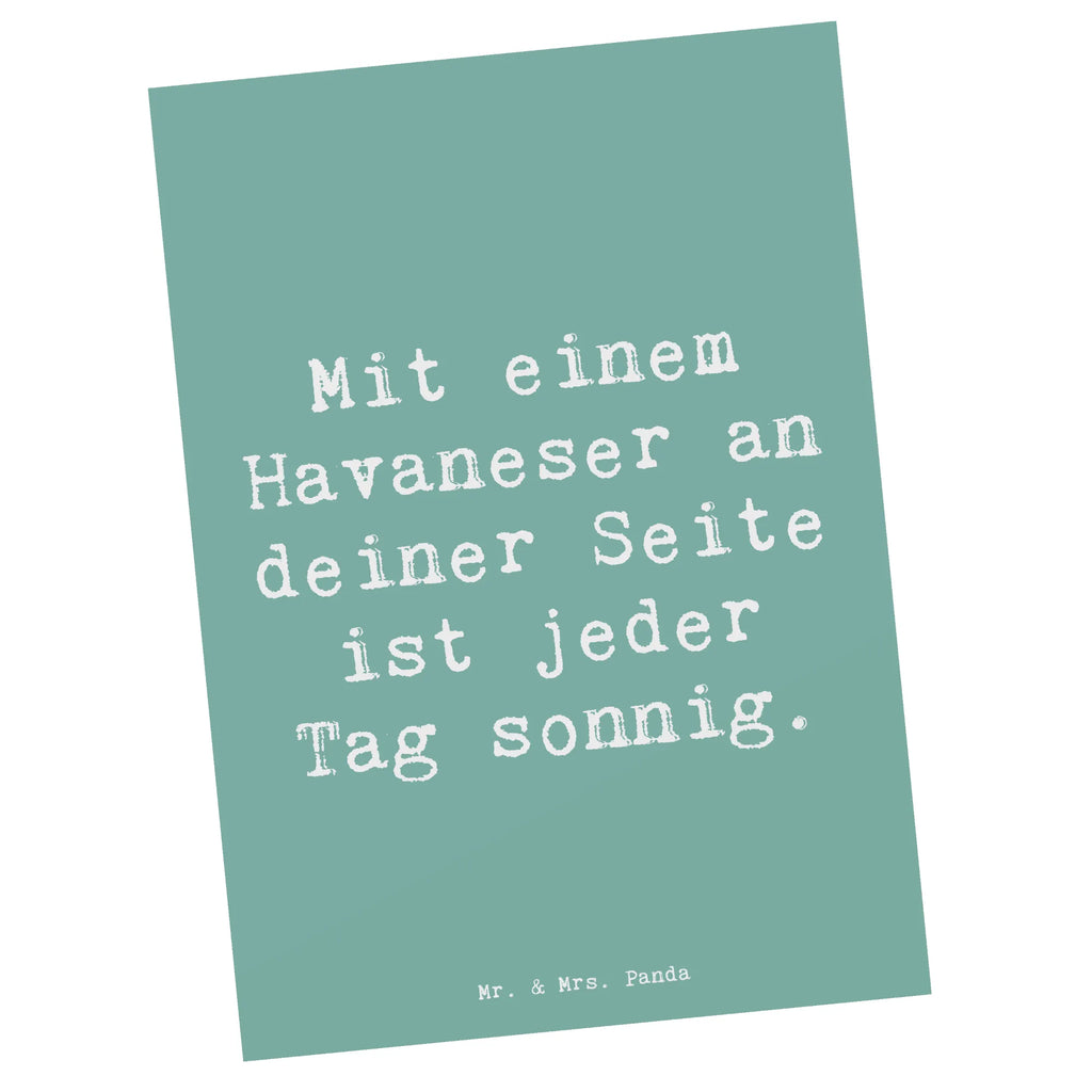 Postkarte Spruch Havaneser Sonnenschein Grußkarte, Dankeskarte, Ansichtskarten, Ansichtskarte, Einladung, Postkarte, Geschenkkarte, Einladung Geburtstag, Karte, Einladungskarten Geburtstag, Geburtstagskarte, Einladungskarte, Hund, Hunderasse, Rassehund, Hundebesitzer, Geschenk, Tierfreund, Schenken, Welpe