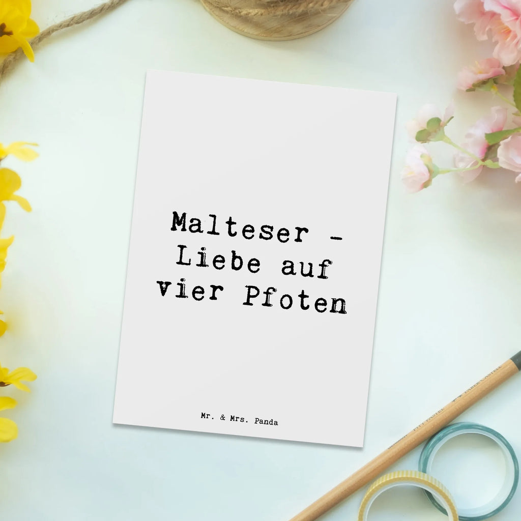 Postkarte Spruch Malteser Liebe Ansichtskarte, Ansichtskarten, Grußkarte, Geburtstagskarte, Karte, Einladungskarte, Einladungskarten Geburtstag, Dankeskarte, Einladung, Postkarte, Einladung Geburtstag, Geschenkkarte, Hund, Hunderasse, Rassehund, Hundebesitzer, Geschenk, Tierfreund, Schenken, Welpe