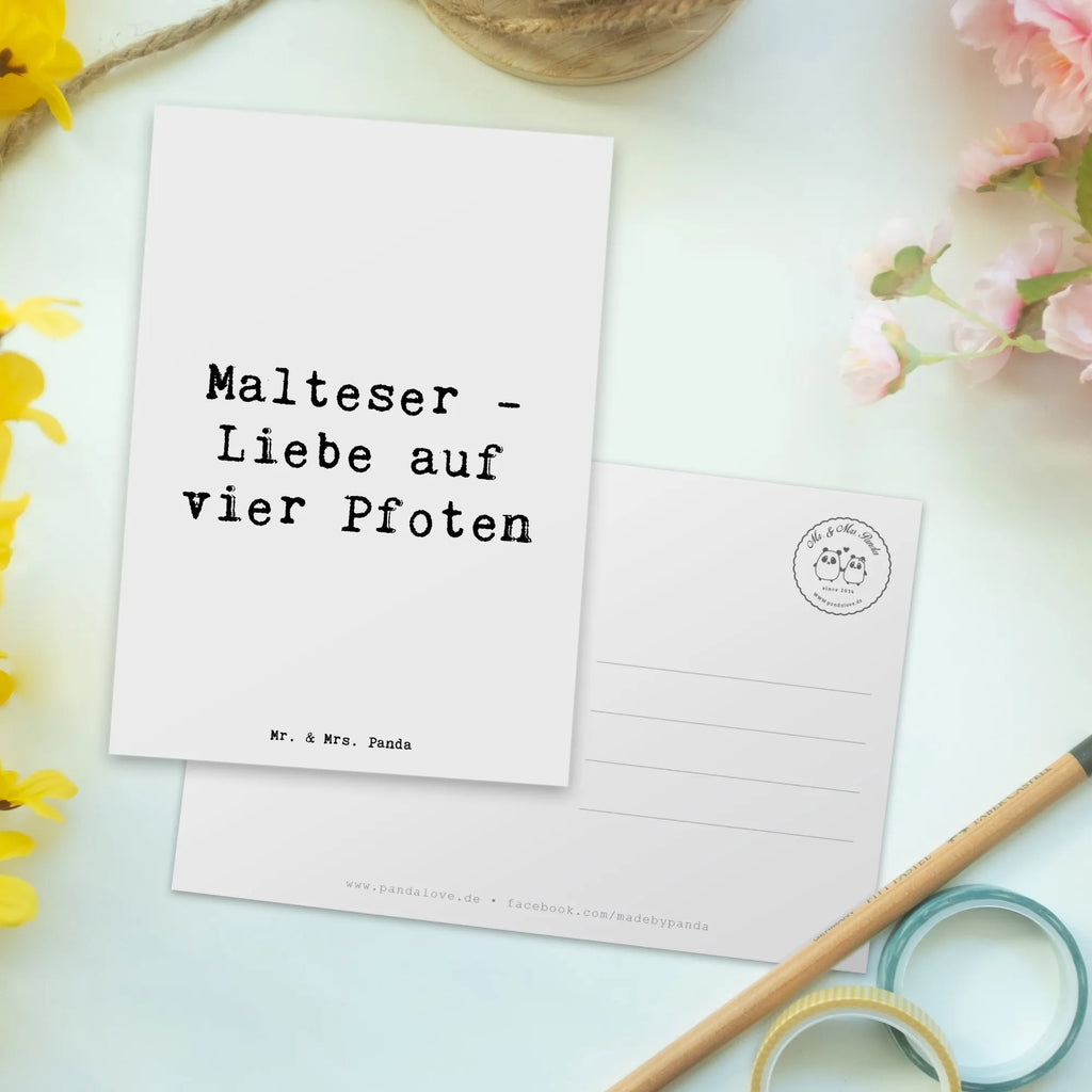 Postkarte Spruch Malteser Liebe Ansichtskarte, Ansichtskarten, Grußkarte, Geburtstagskarte, Karte, Einladungskarte, Einladungskarten Geburtstag, Dankeskarte, Einladung, Postkarte, Einladung Geburtstag, Geschenkkarte, Hund, Hunderasse, Rassehund, Hundebesitzer, Geschenk, Tierfreund, Schenken, Welpe