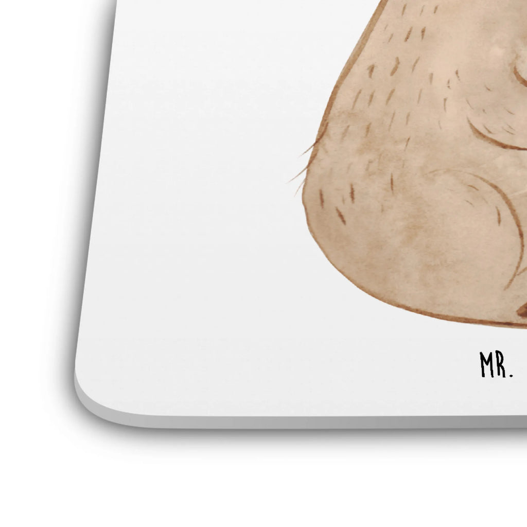 Untersetzer Set Bär Arzt Kunststoffuntersetzer, Glasuntersetzer, Untersetzer für Gläser, Untersetzer Set, Untersetzer Für Getränke, Universaluntersetzer, Coaster, Design-Untersetzer, Untersetzer für Becher, Becheruntersetzer, Getränke­sauguntersetzer, Nachhaltiger Untersetzer, Untersetzer für Tassen, Underlay Für Getränke, Getränke-Coaster, Getränkeuntersetzer, Umweltfreundlicher Untersetzer, Untersetzer Motiv, Handgemachter Untersetzer, Dekoruntersetzer, Rutschfester Untersetzer, Tischuntersetzer, Hitzebeständiger Untersetzer, Tischschutzuntersetzer, Tassenuntersetzer, Untersetzer, Untersetzer Rund, Untersetzer Eckig, Bär, Teddy, Teddybär, Ärztin, Arzt, Doktor, Professor, Doktorin, Professorin