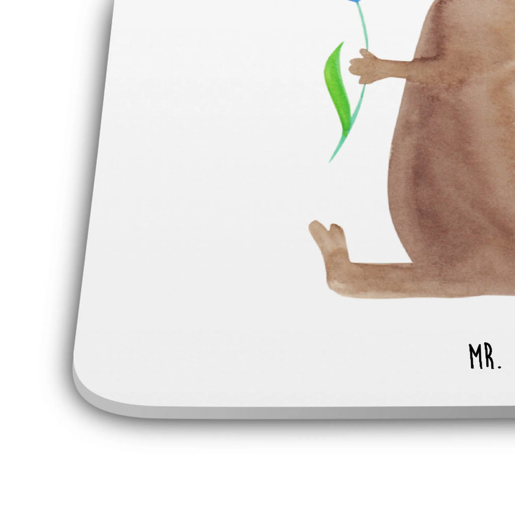 Untersetzer Set Hund Blume Tassenuntersetzer, Hitzebeständiger Untersetzer, Untersetzer Für Getränke, Tischschutzuntersetzer, Untersetzer für Becher, Kunststoffuntersetzer, Design-Untersetzer, Untersetzer für Tassen, Umweltfreundlicher Untersetzer, Getränkeuntersetzer, Untersetzer Motiv, Underlay Für Getränke, Coaster, Tischuntersetzer, Dekoruntersetzer, Universaluntersetzer, Handgemachter Untersetzer, Nachhaltiger Untersetzer, Getränke-Coaster, Untersetzer Eckig, Getränke­sauguntersetzer, Untersetzer für Gläser, Untersetzer Set, Becheruntersetzer, Glasuntersetzer, Rutschfester Untersetzer, Untersetzer Rund, Untersetzer, Hund, Hundemotiv, Haustier, Hunderasse, Tierliebhaber, Hundebesitzer, Sprüche, Hunde, Frauchen, Hundeliebe