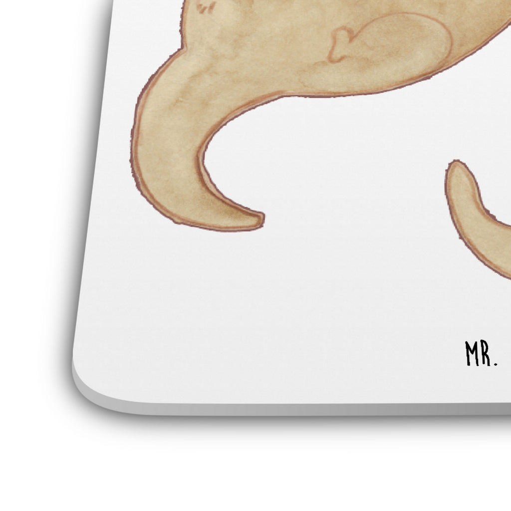 Untersetzer Set Otter Hände halten Underlay Für Getränke, Rutschfester Untersetzer, Design-Untersetzer, Getränke­sauguntersetzer, Kunststoffuntersetzer, Umweltfreundlicher Untersetzer, Untersetzer für Gläser, Hitzebeständiger Untersetzer, Untersetzer Rund, Nachhaltiger Untersetzer, Glasuntersetzer, Universaluntersetzer, Tischuntersetzer, Getränkeuntersetzer, Coaster, Untersetzer Eckig, Dekoruntersetzer, Untersetzer, Handgemachter Untersetzer, Getränke-Coaster, Untersetzer Set, Untersetzer Motiv, Untersetzer für Tassen, Becheruntersetzer, Untersetzer für Becher, Tassenuntersetzer, Tischschutzuntersetzer, Untersetzer Für Getränke, Otter, Fischotter, Seeotter, Otter Seeotter See Otter