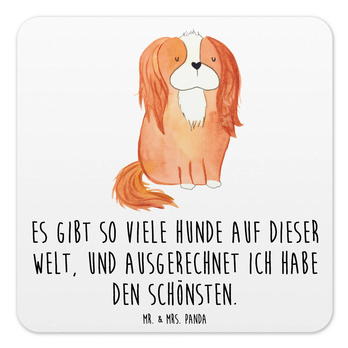 Zestaw podkładek pies Cavalier King Charles Spaniel zwierzę domowe, motyw psa, Pies, rasa psa, właściciel psa, miłośnik zwierząt, powiedzenia