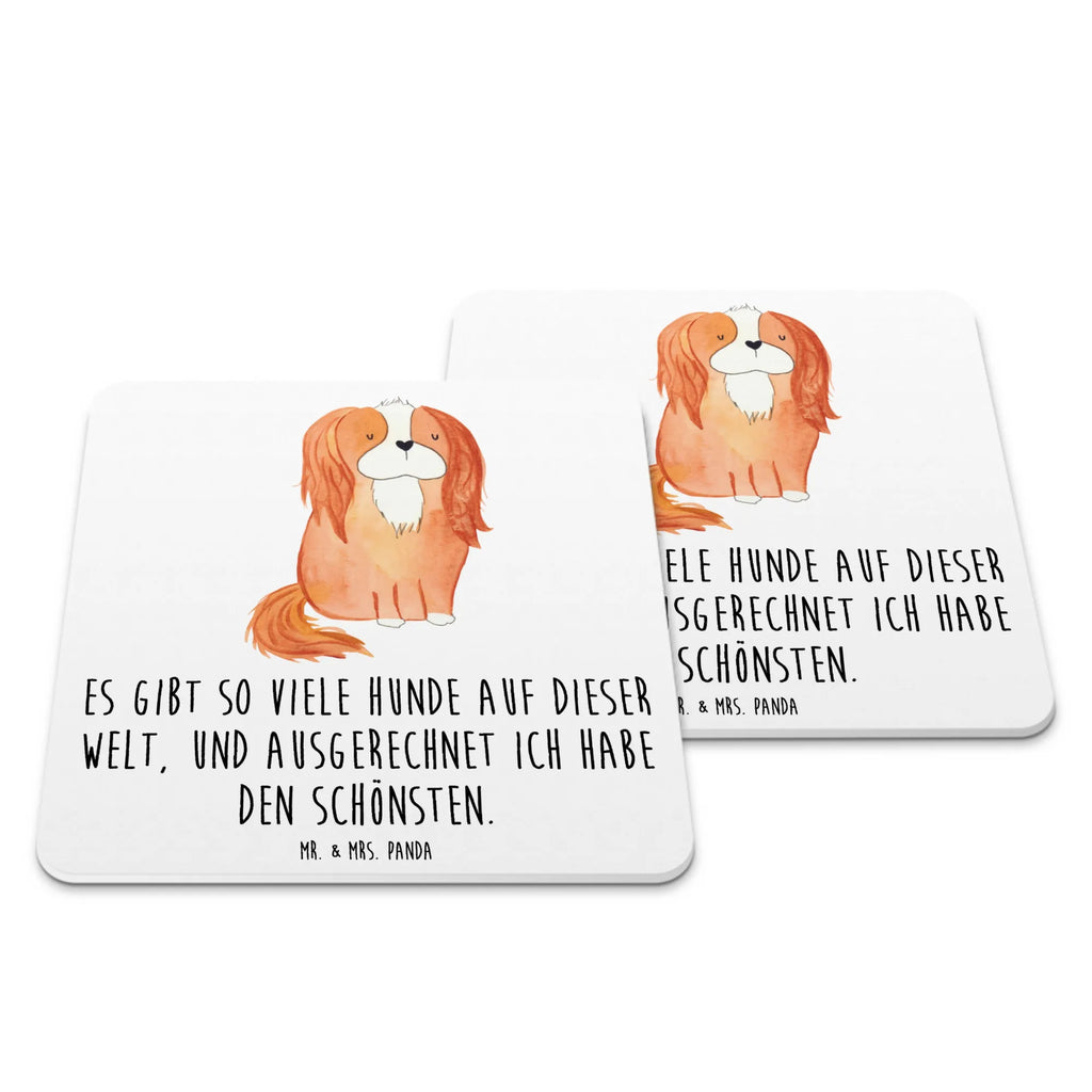 Untersetzer Set Hund Cavalier King Charles Spaniel Tischschutzuntersetzer, Getränkeuntersetzer, Untersetzer Rund, Untersetzer Für Getränke, Untersetzer Motiv, Untersetzer für Becher, Untersetzer Set, Hitzebeständiger Untersetzer, Becheruntersetzer, Underlay Für Getränke, Coaster, Kunststoffuntersetzer, Handgemachter Untersetzer, Untersetzer Eckig, Untersetzer, Umweltfreundlicher Untersetzer, Nachhaltiger Untersetzer, Getränke­sauguntersetzer, Glasuntersetzer, Getränke-Coaster, Tassenuntersetzer, Tischuntersetzer, Universaluntersetzer, Untersetzer für Tassen, Design-Untersetzer, Untersetzer für Gläser, Rutschfester Untersetzer, Dekoruntersetzer, Hund, Hundemotiv, Haustier, Hunderasse, Tierliebhaber, Hundebesitzer, Sprüche, Cavalier King Charles Spaniel, Spaniel, schönster Hund, Cockerspaniel, Spruch